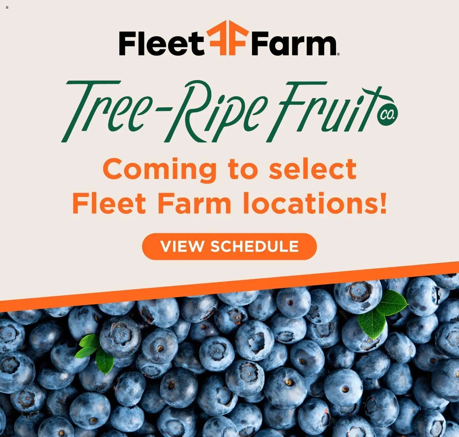 Mills Fleet Farm offer from 06/08/2026 Mills Fleet Farm Weekly Ad