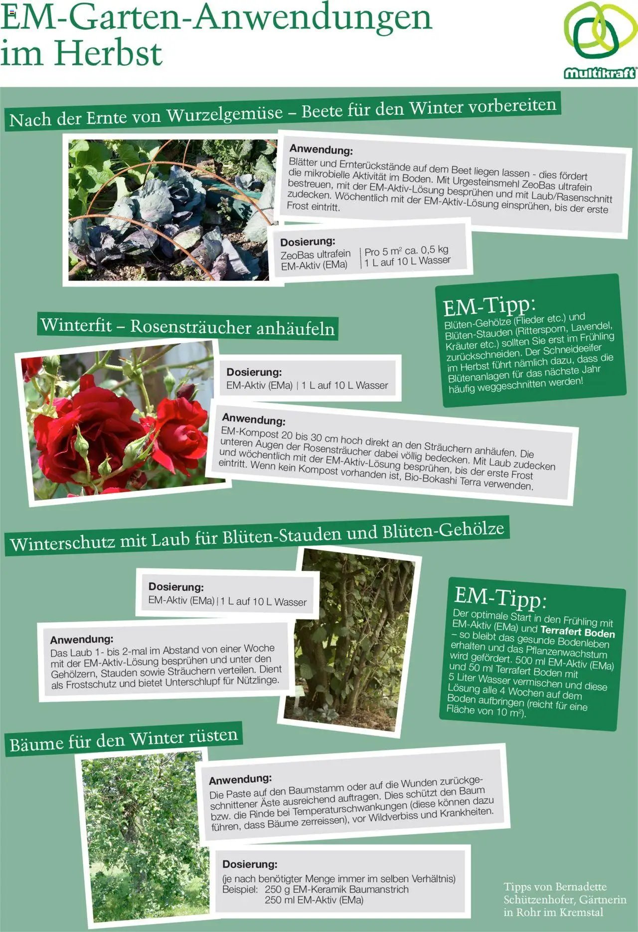 bellaflora - EM-Gartenanwendungen im Herbst