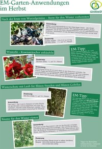 bellaflora - EM-Gartenanwendungen im Herbst