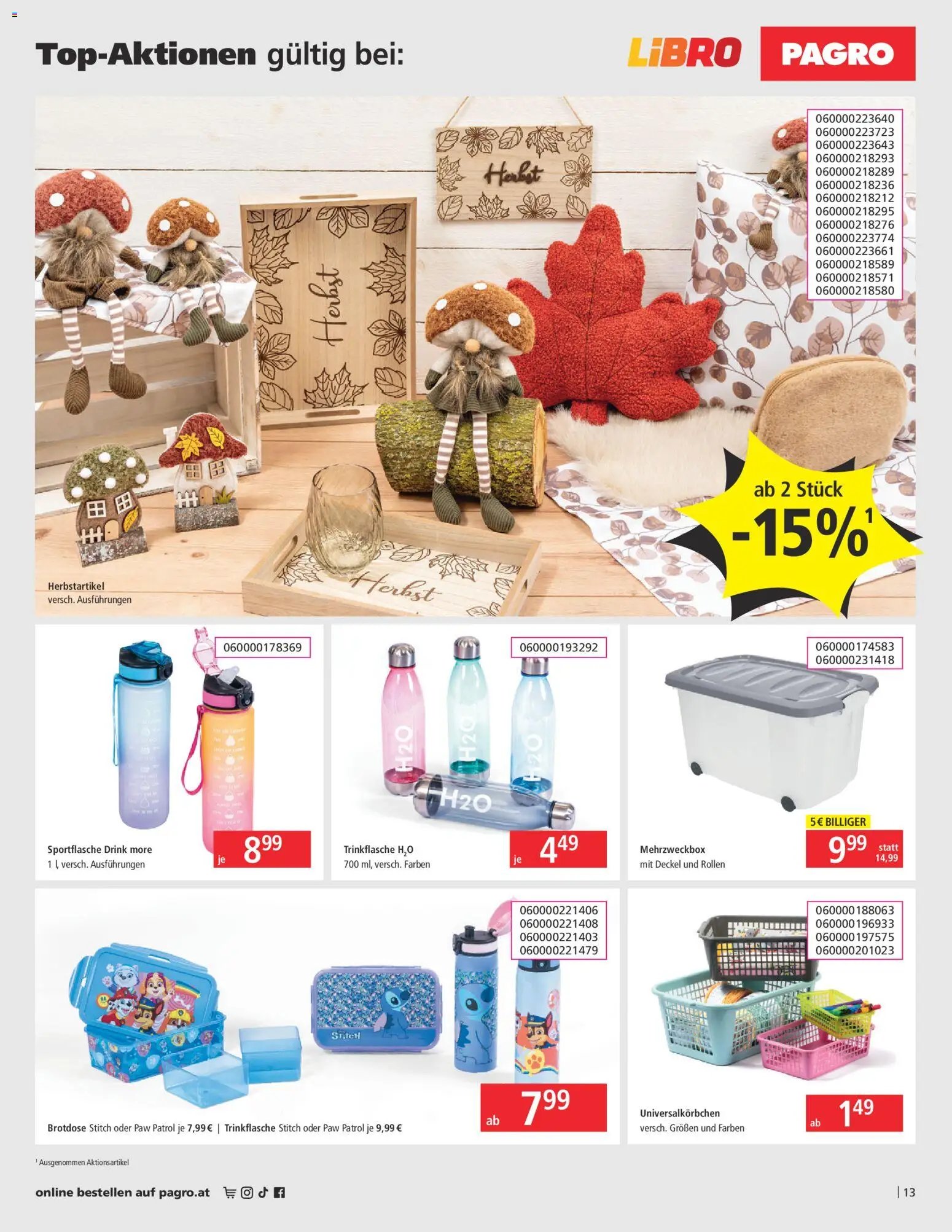 Libro Flugblatt