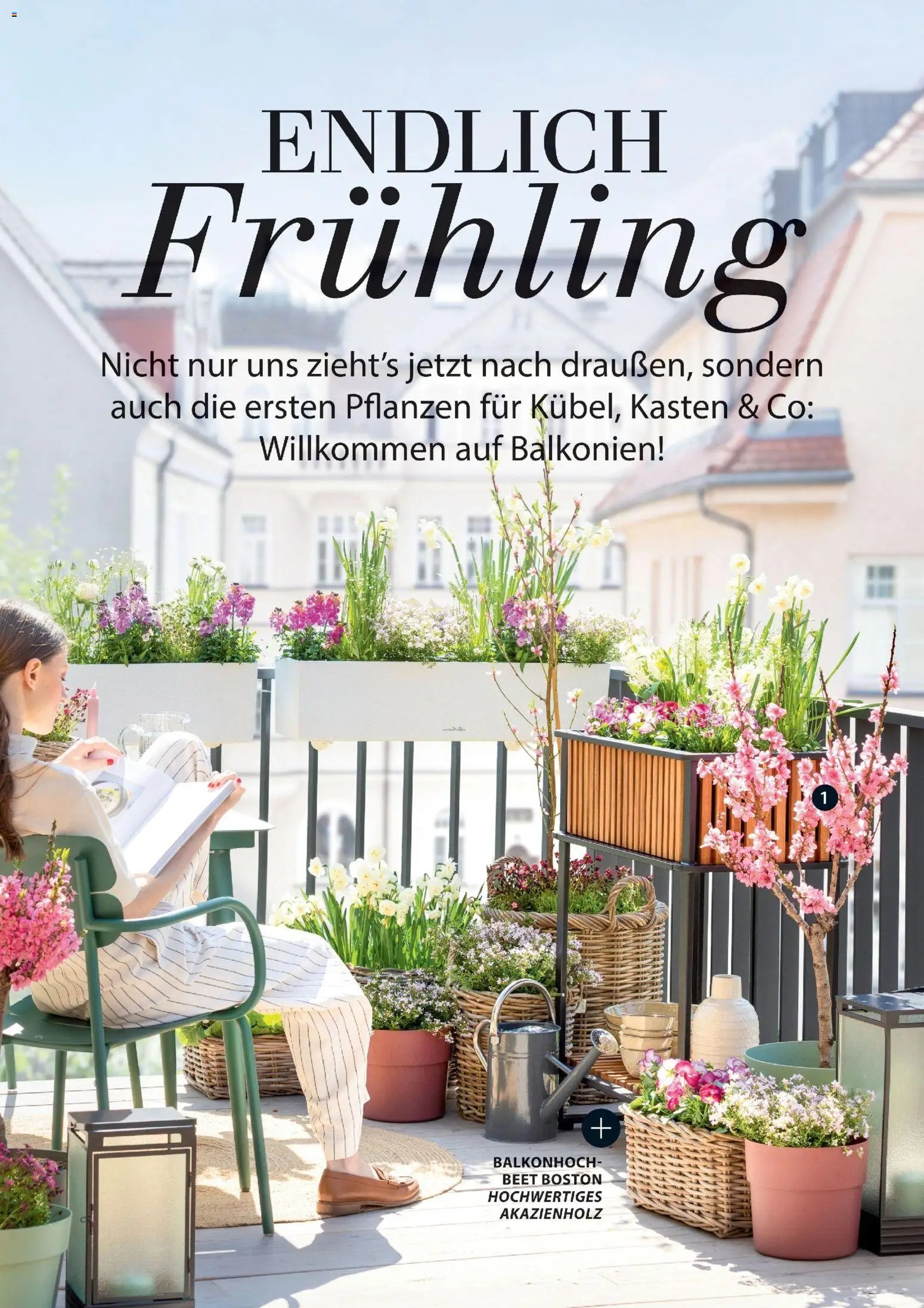 Dehner Flugblatt