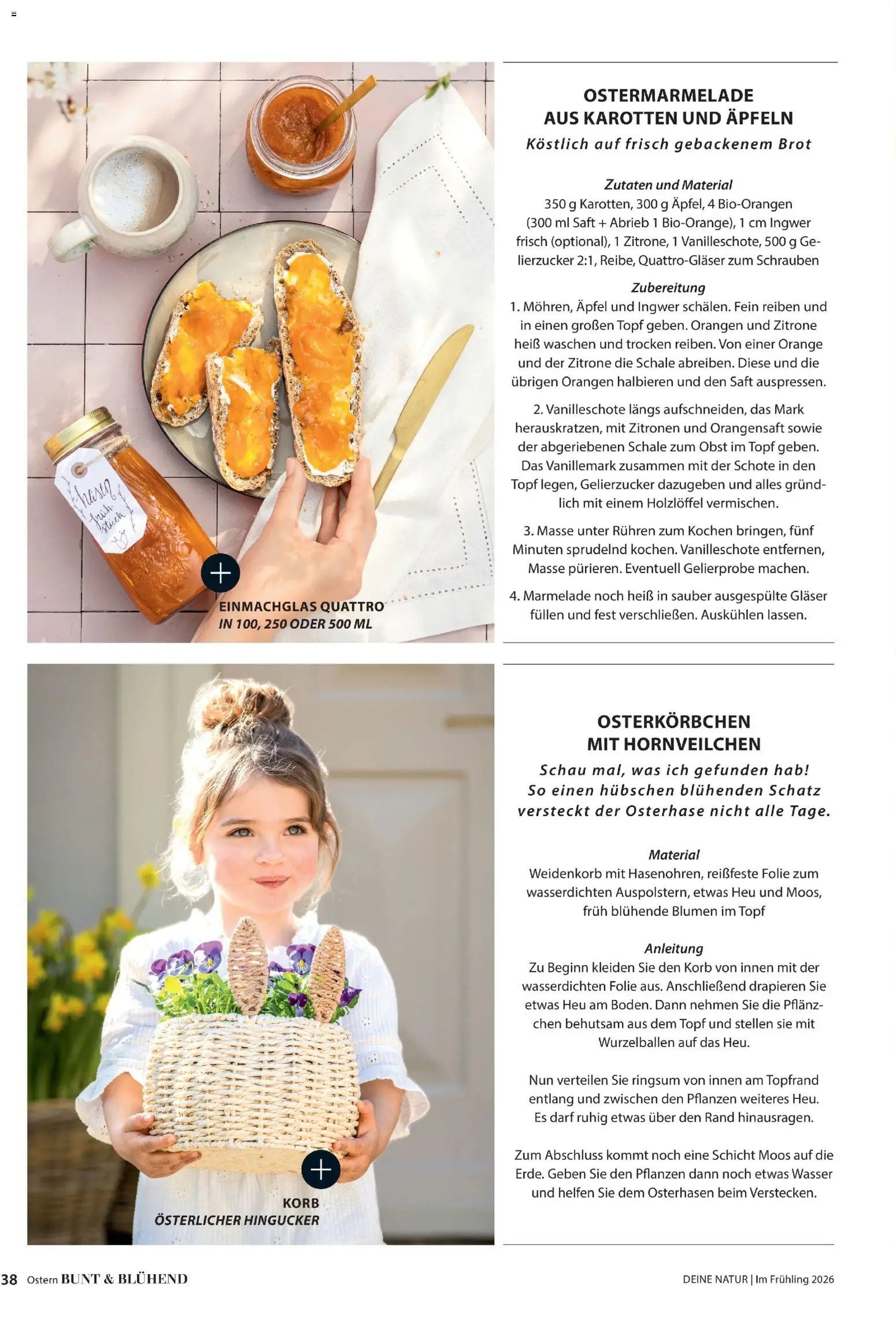 Dehner Flugblatt