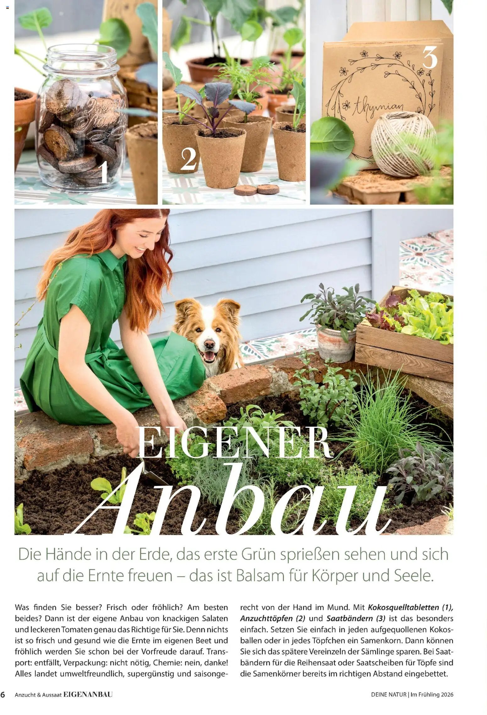 Dehner Flugblatt