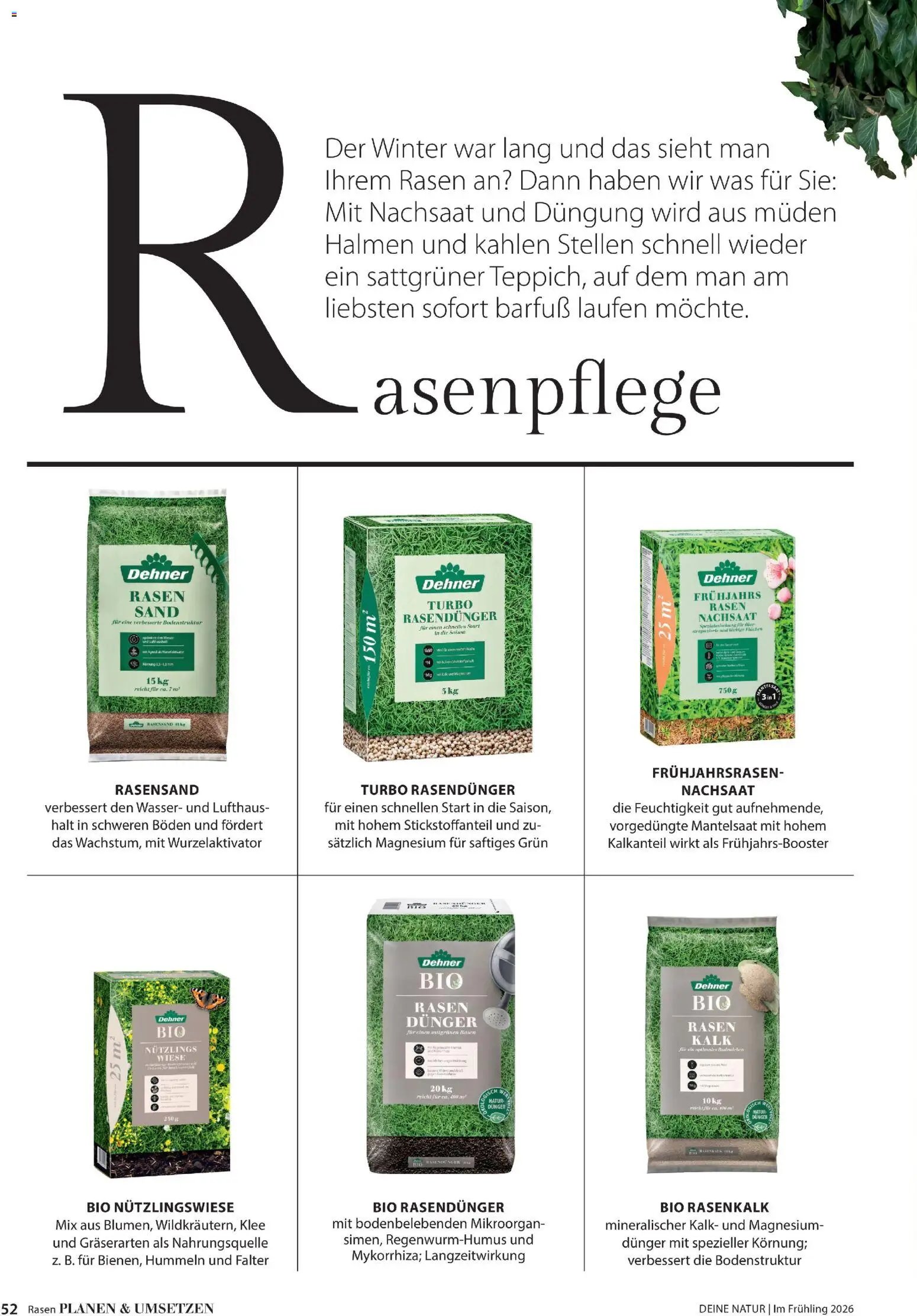 Dehner Flugblatt