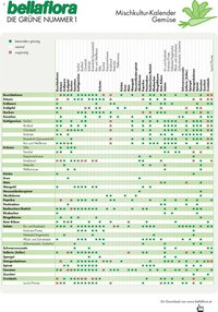 bellaflora - Mischkultur-Kalender Gemüse
