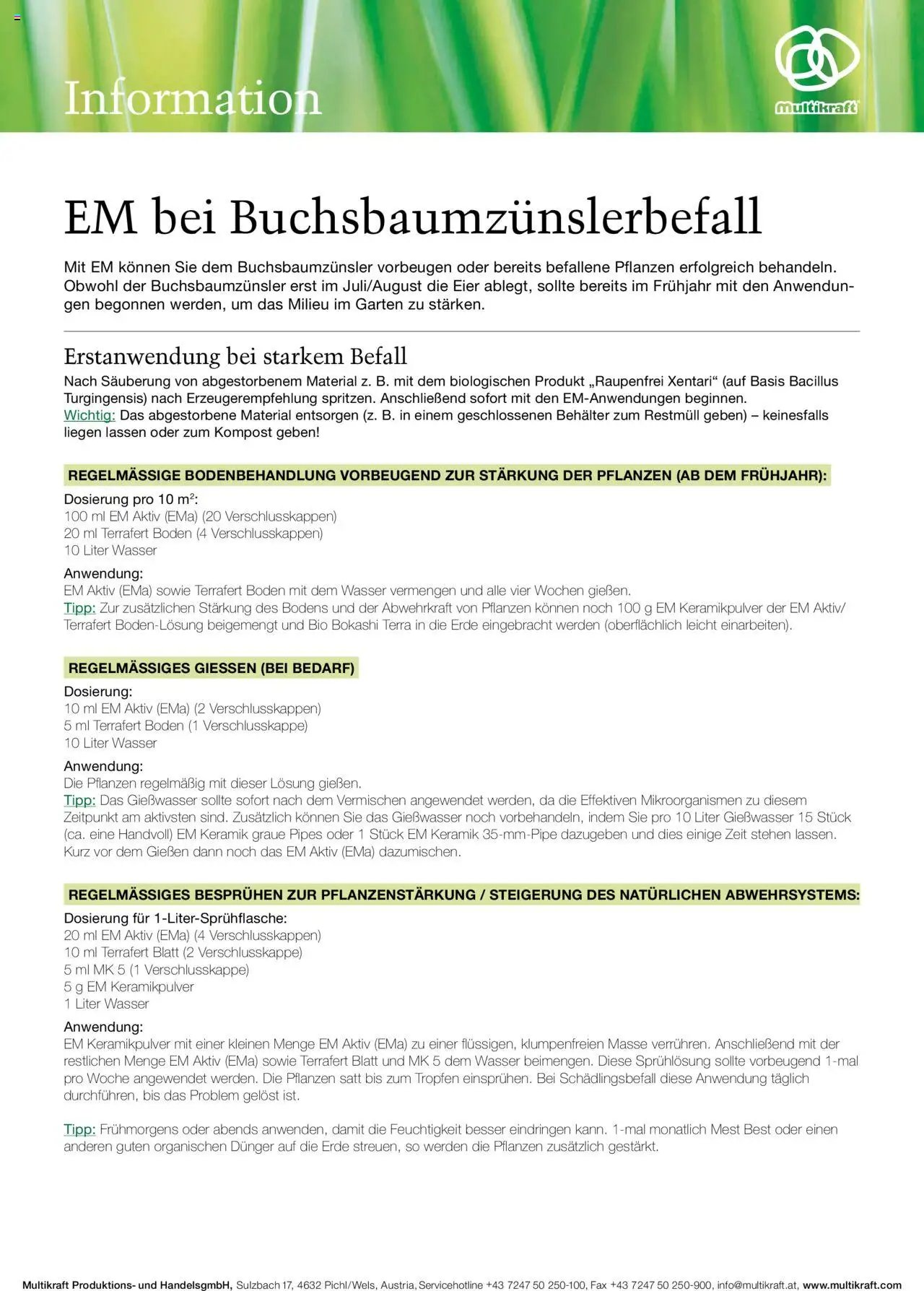 bellaflora - EM bei Buchsbaumzünslerbefall