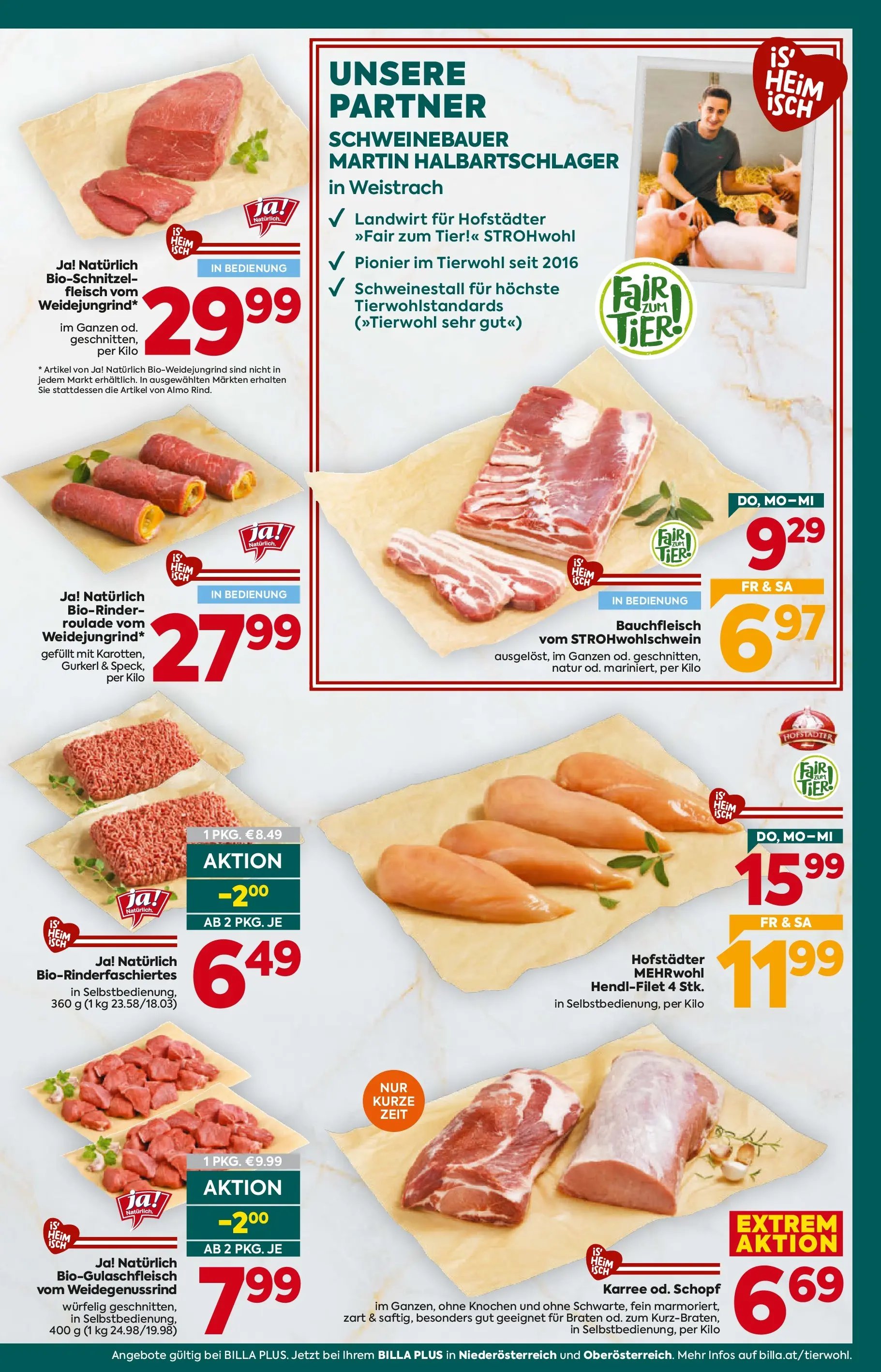 Billa Plus Flugblatt - Niederösterreich