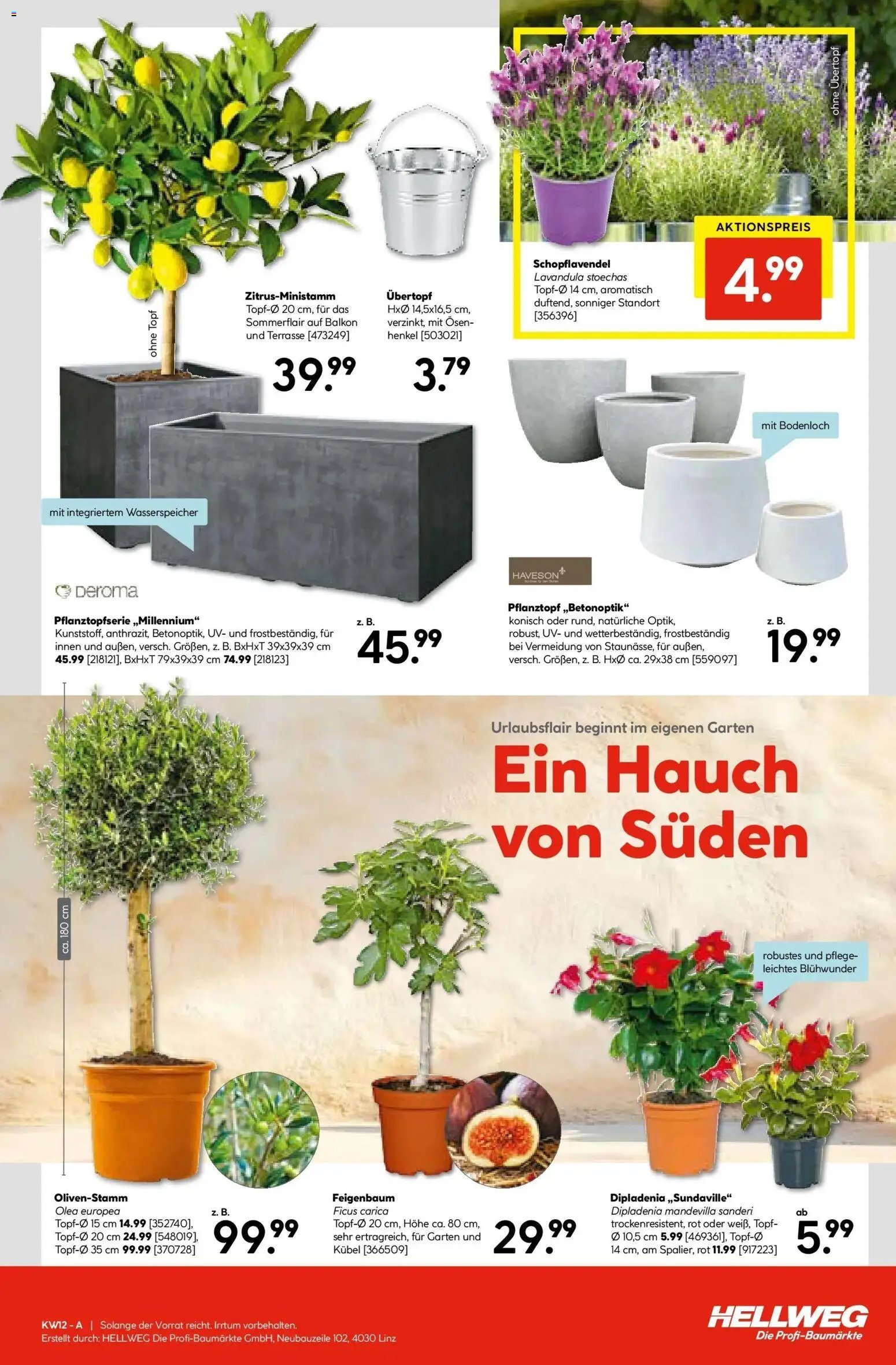 HELLWEG Steindorf / Straßwalchen	