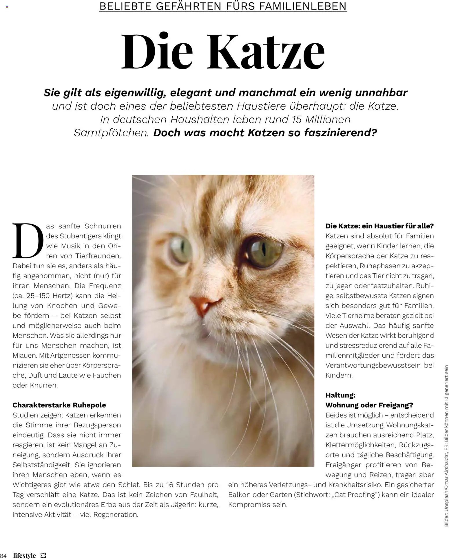 Müller Magazine Lifestyle 3/26