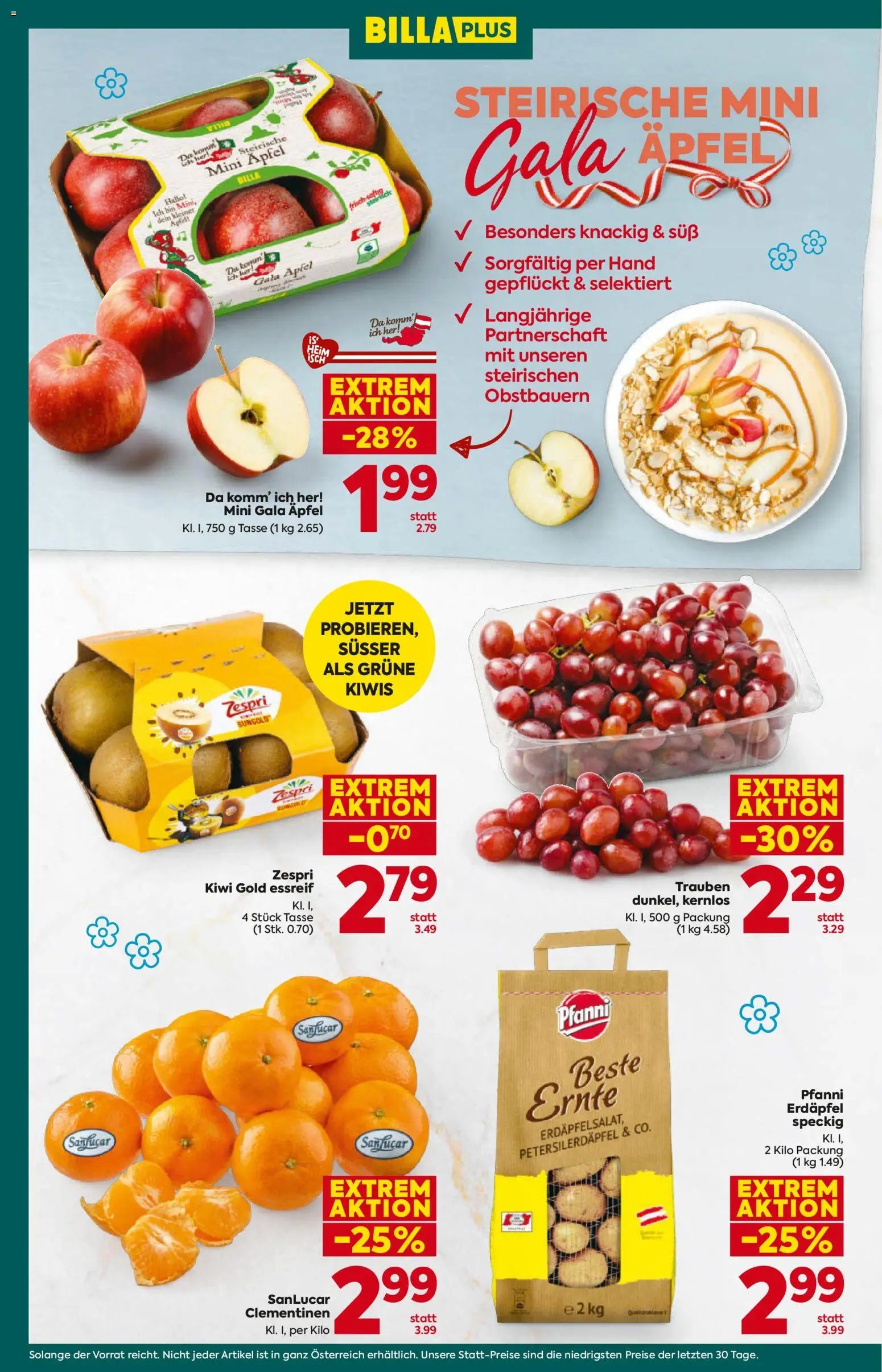 Billa Plus Flugblatt