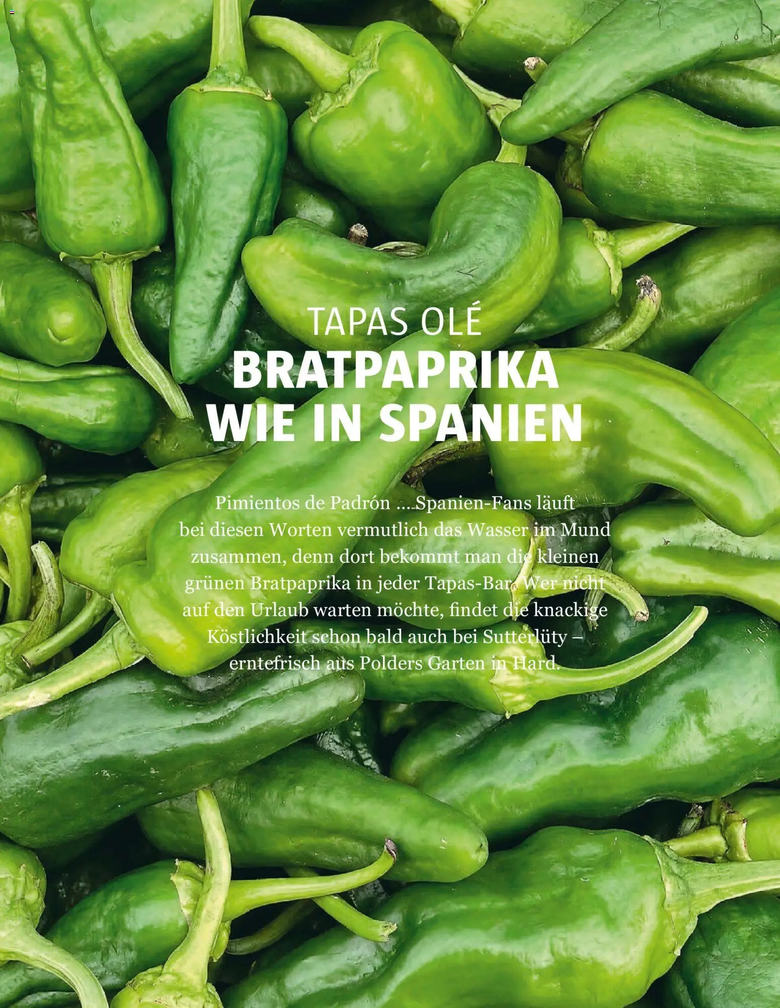 Sutterlüty B'sundrig Magazin