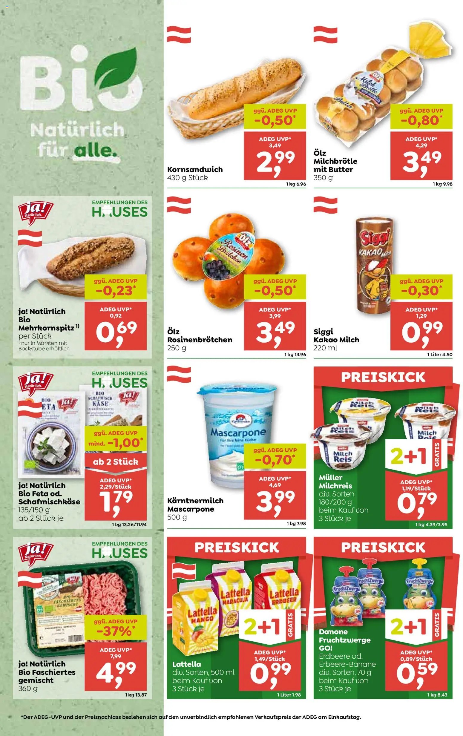 ADEG Flugblatt
