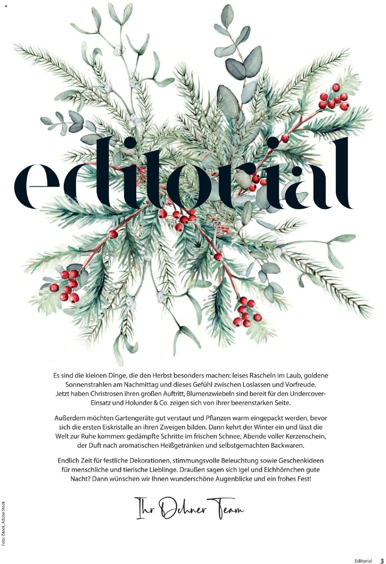Dehner Magazine HERBST/WINTER 2026