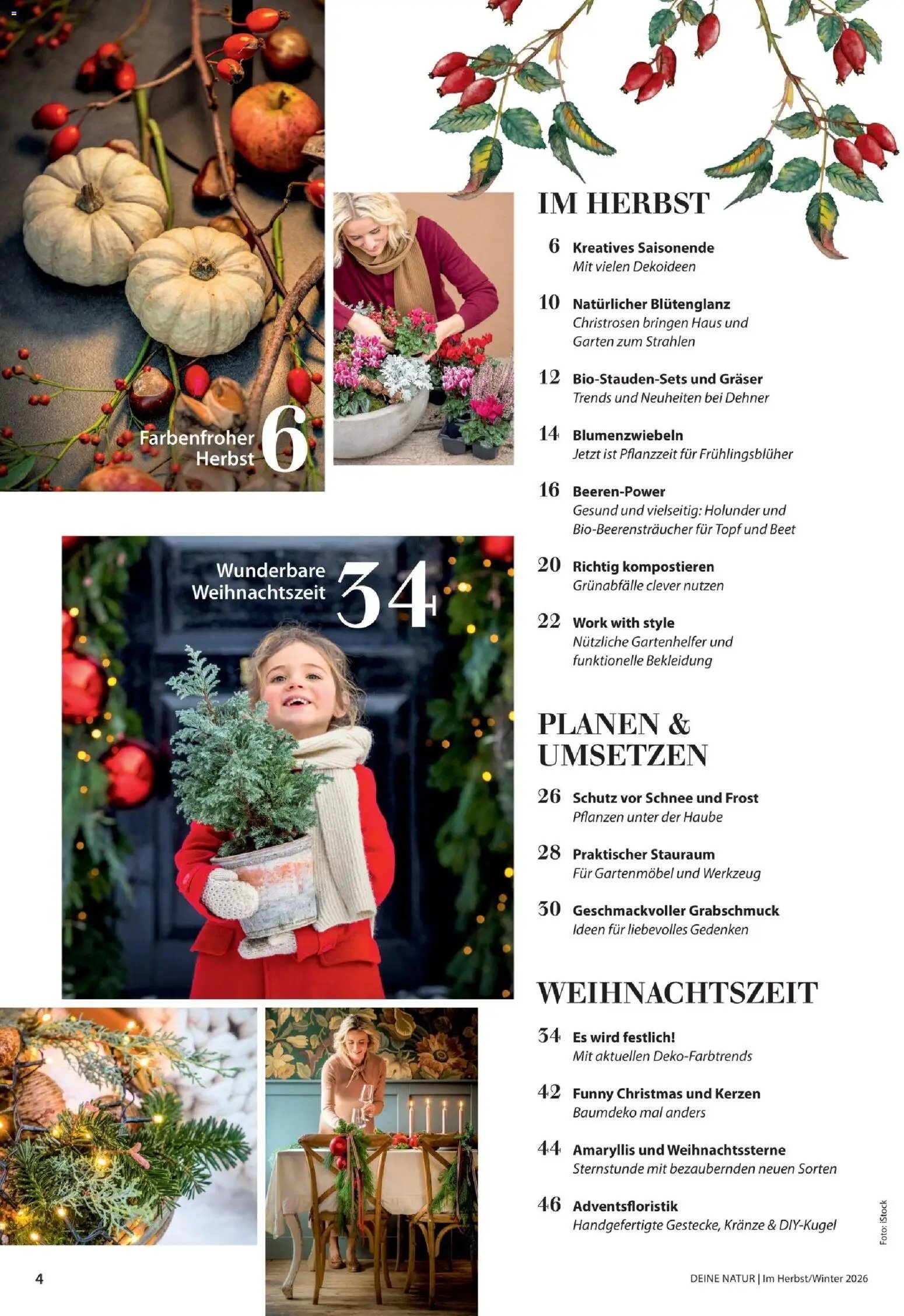 Dehner Magazine HERBST/WINTER 2026