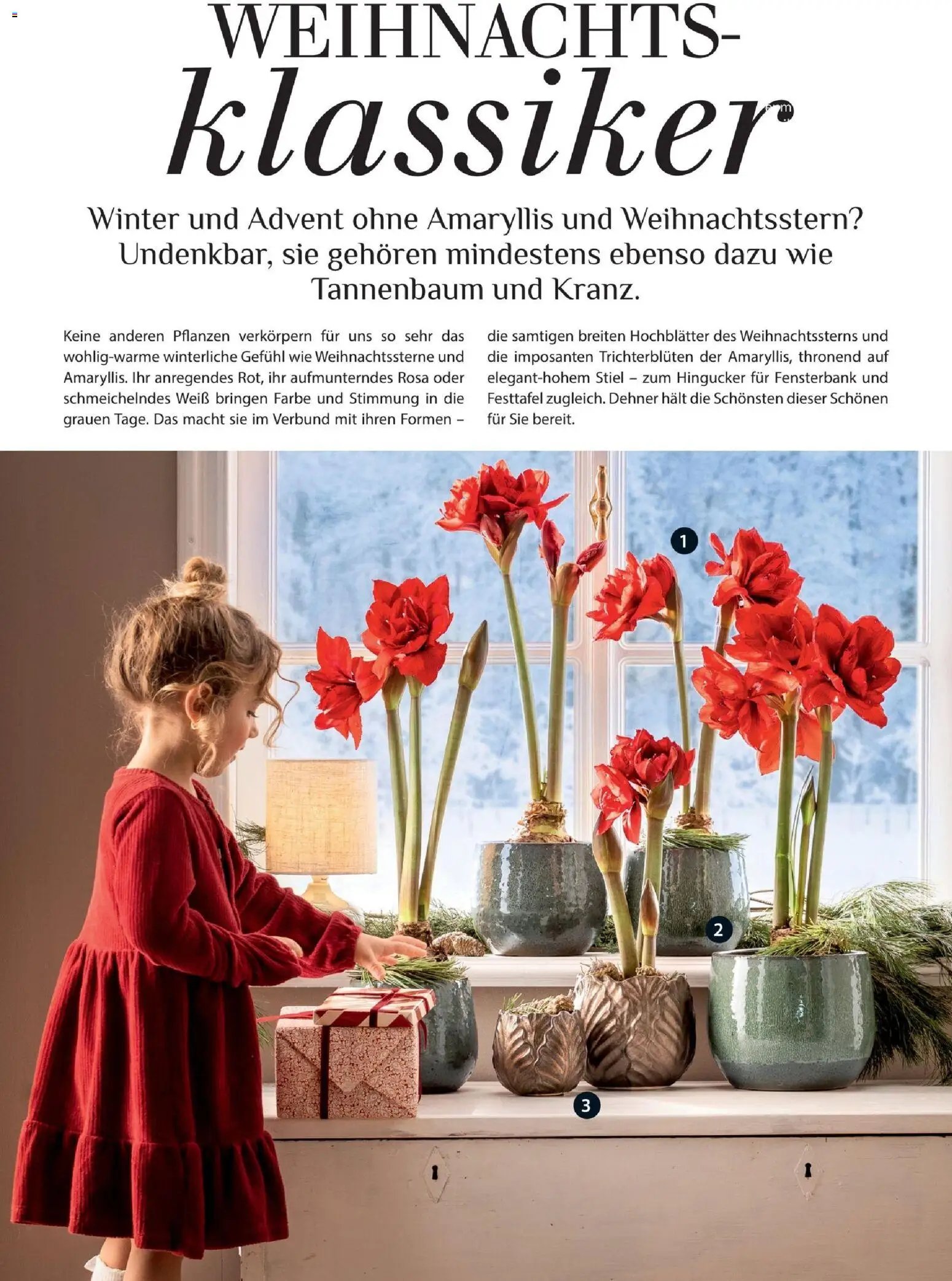Dehner Magazine HERBST/WINTER 2026