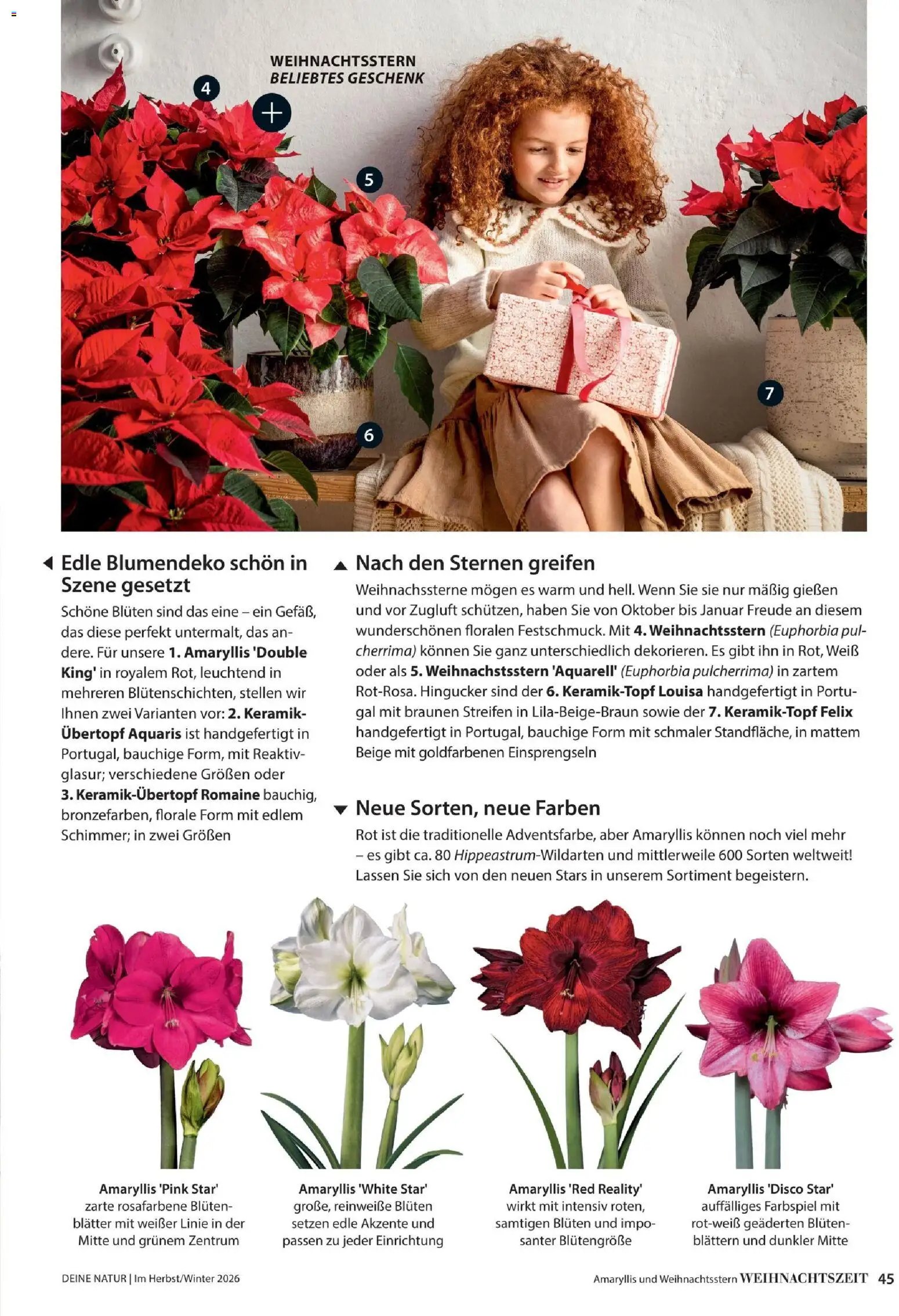 Dehner Magazine HERBST/WINTER 2026