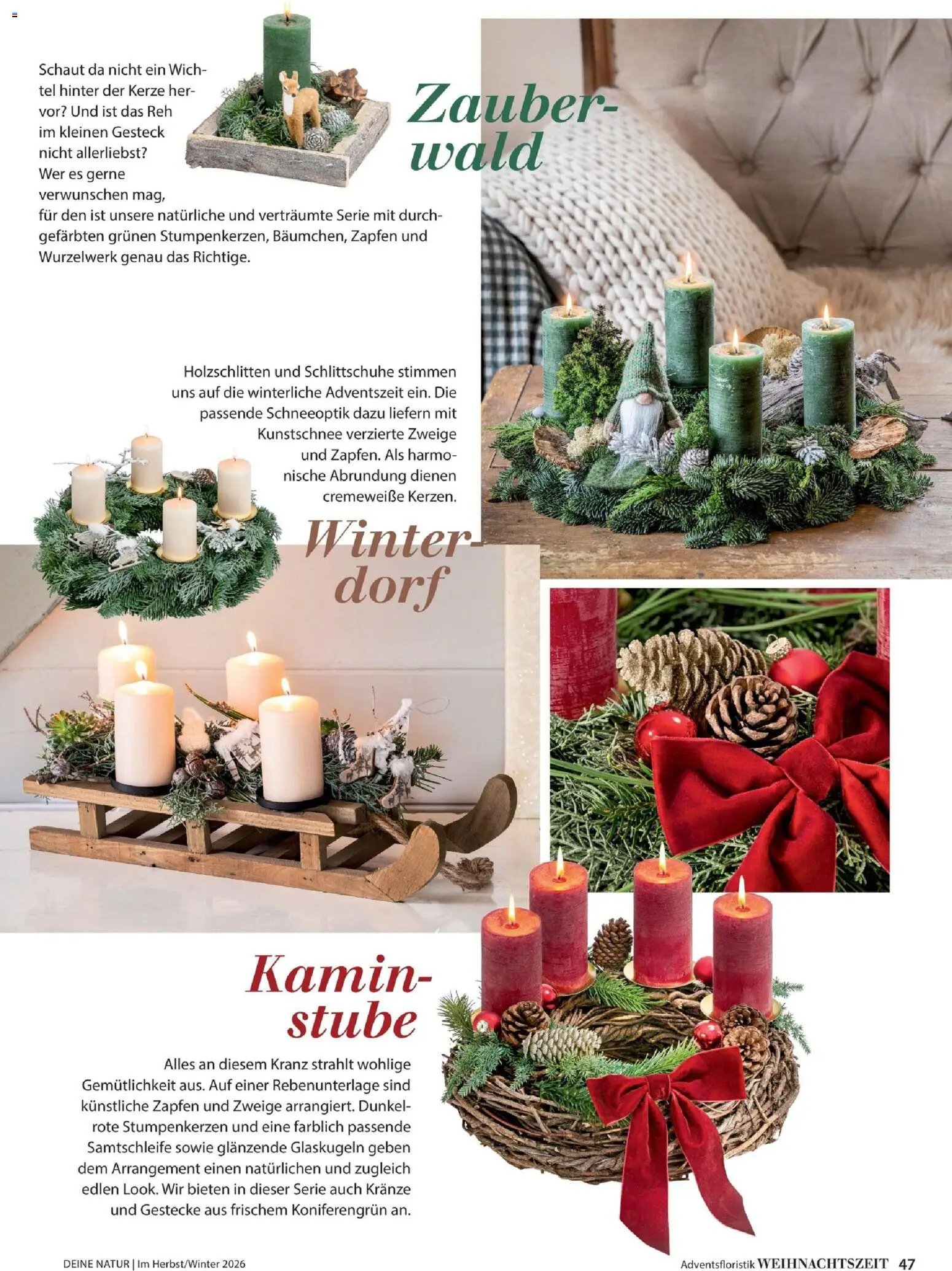Dehner Magazine HERBST/WINTER 2026