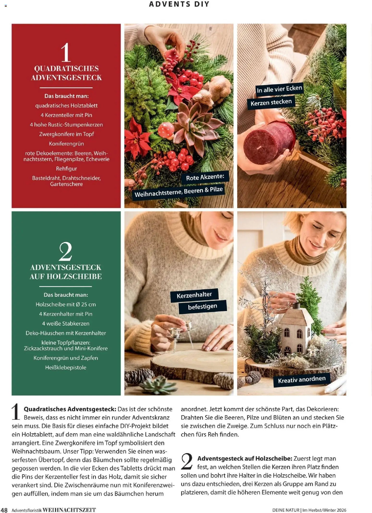 Dehner Magazine HERBST/WINTER 2026