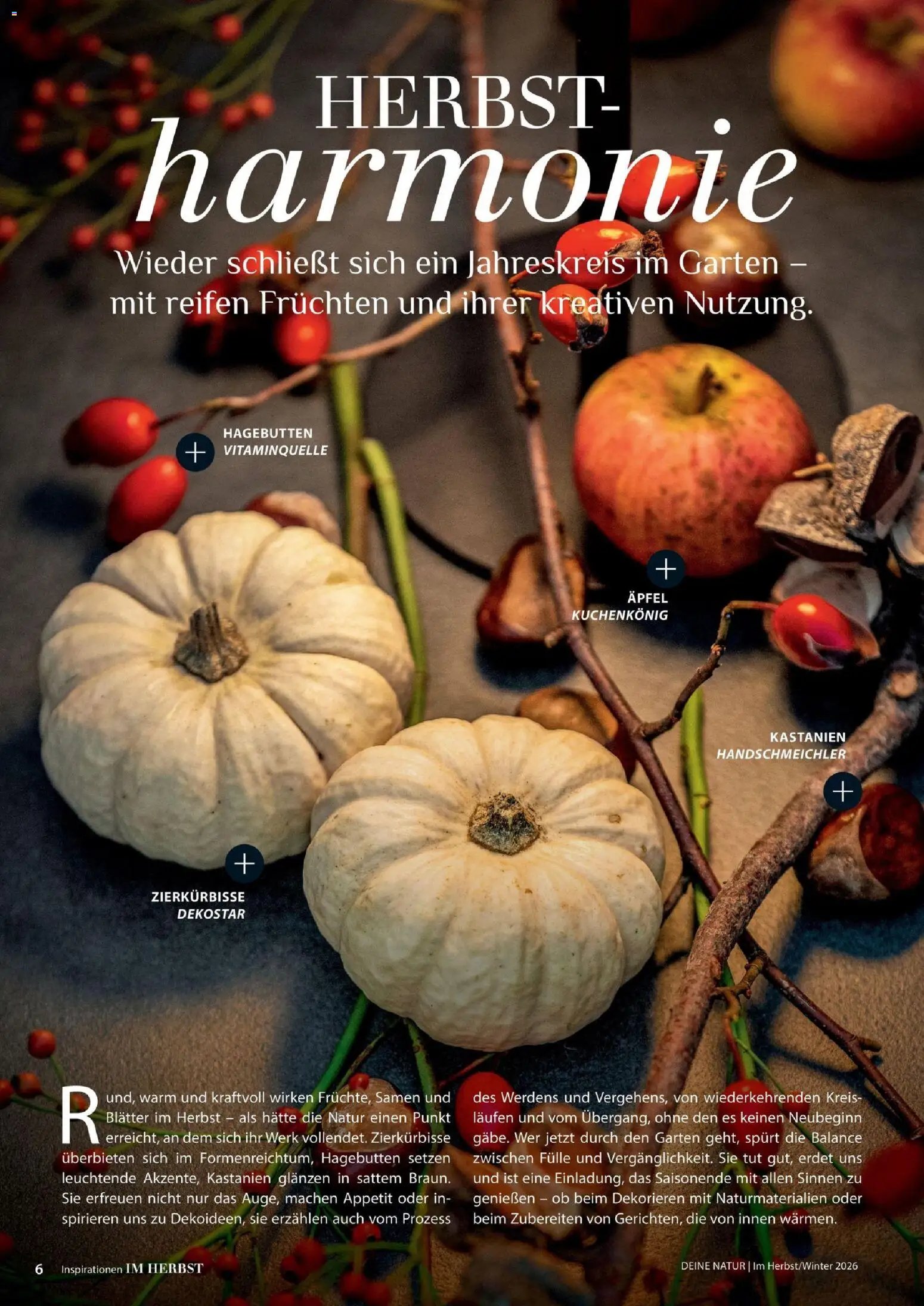 Dehner Magazine HERBST/WINTER 2026