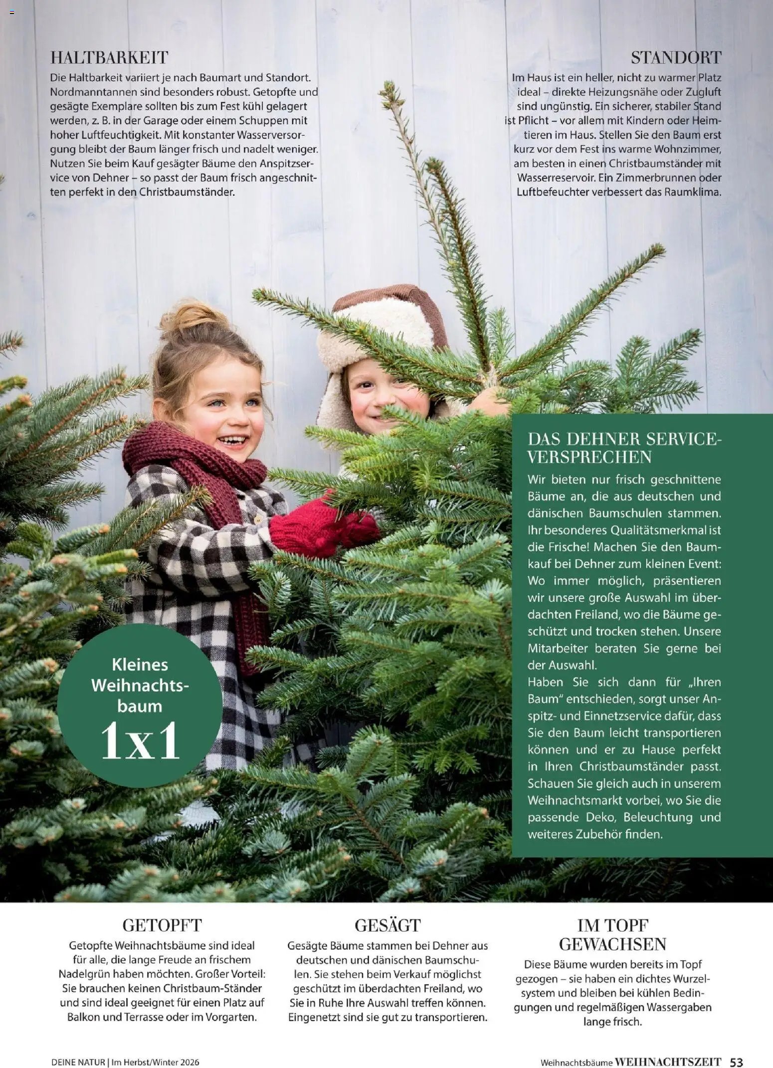 Dehner Magazine HERBST/WINTER 2026