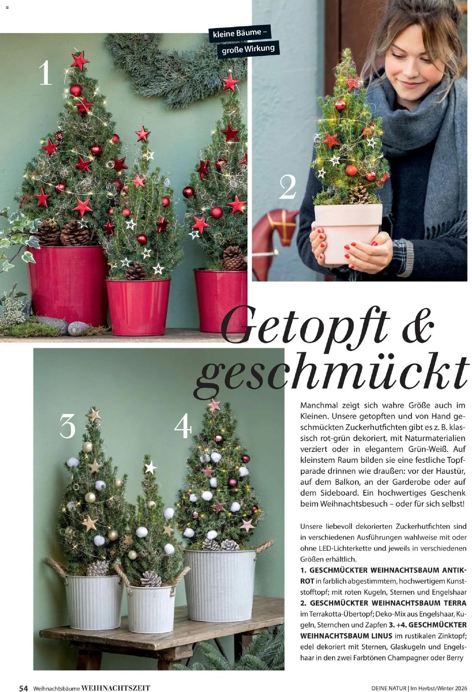 Dehner Magazine HERBST/WINTER 2026