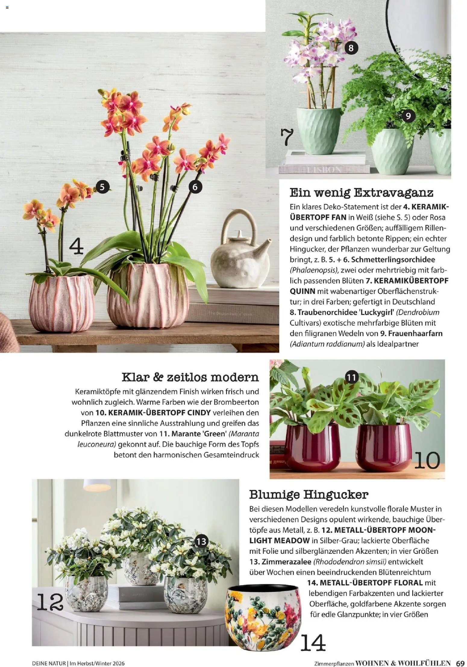 Dehner Magazine HERBST/WINTER 2026