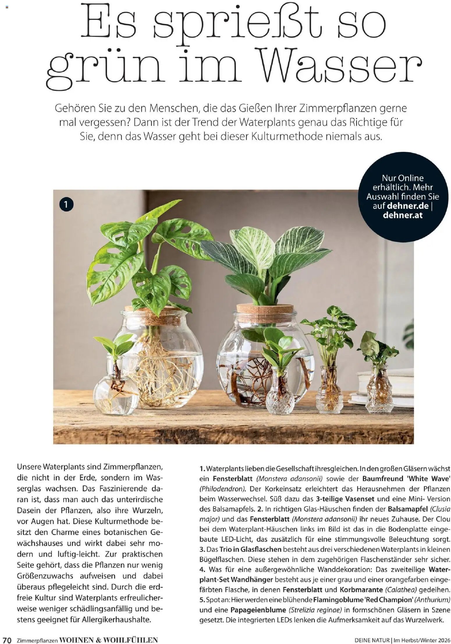Dehner Magazine HERBST/WINTER 2026