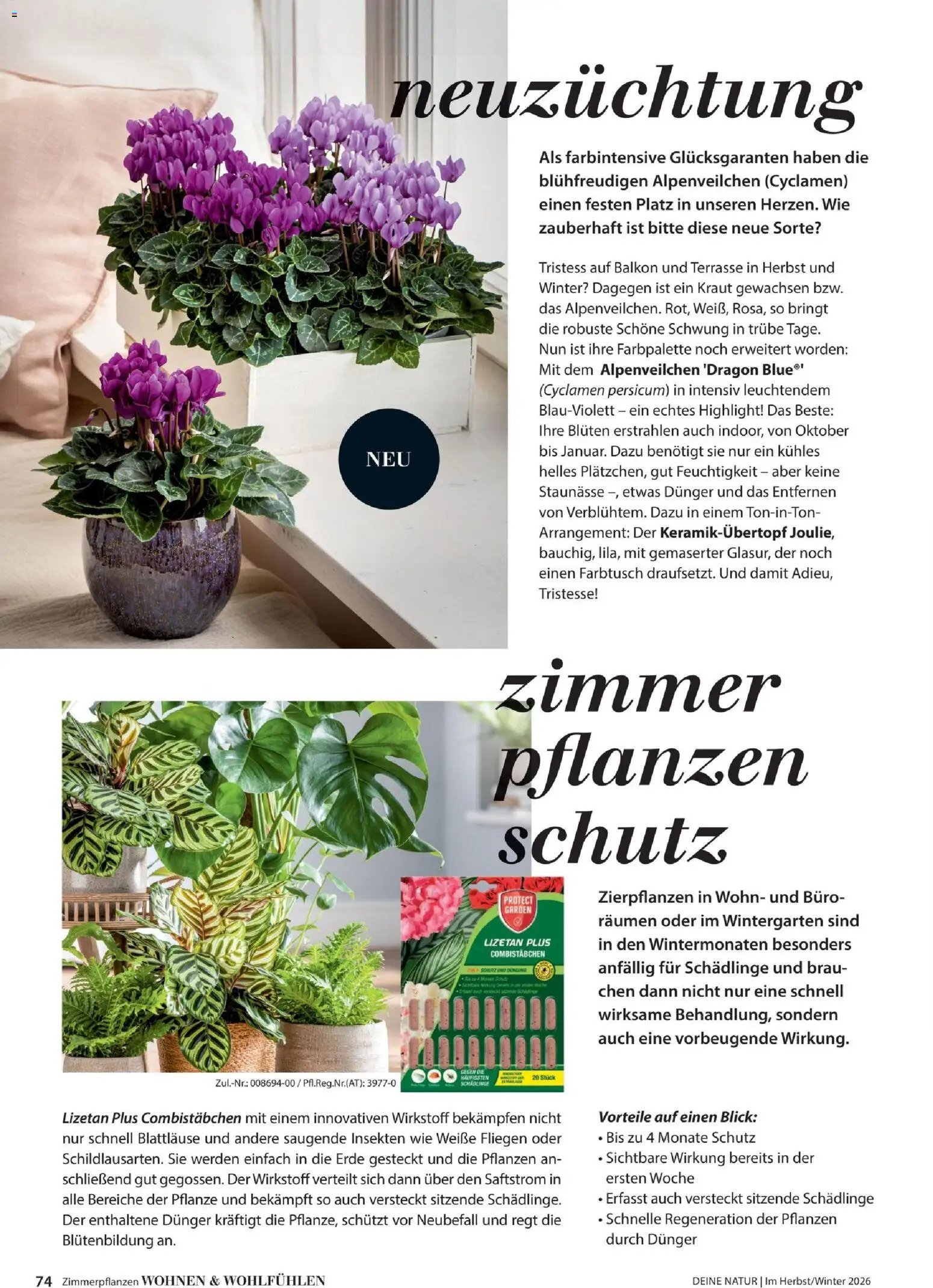 Dehner Magazine HERBST/WINTER 2026