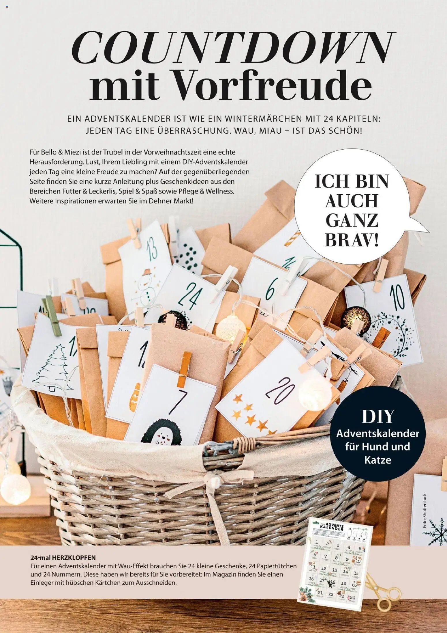 Dehner Magazine HERBST/WINTER 2026