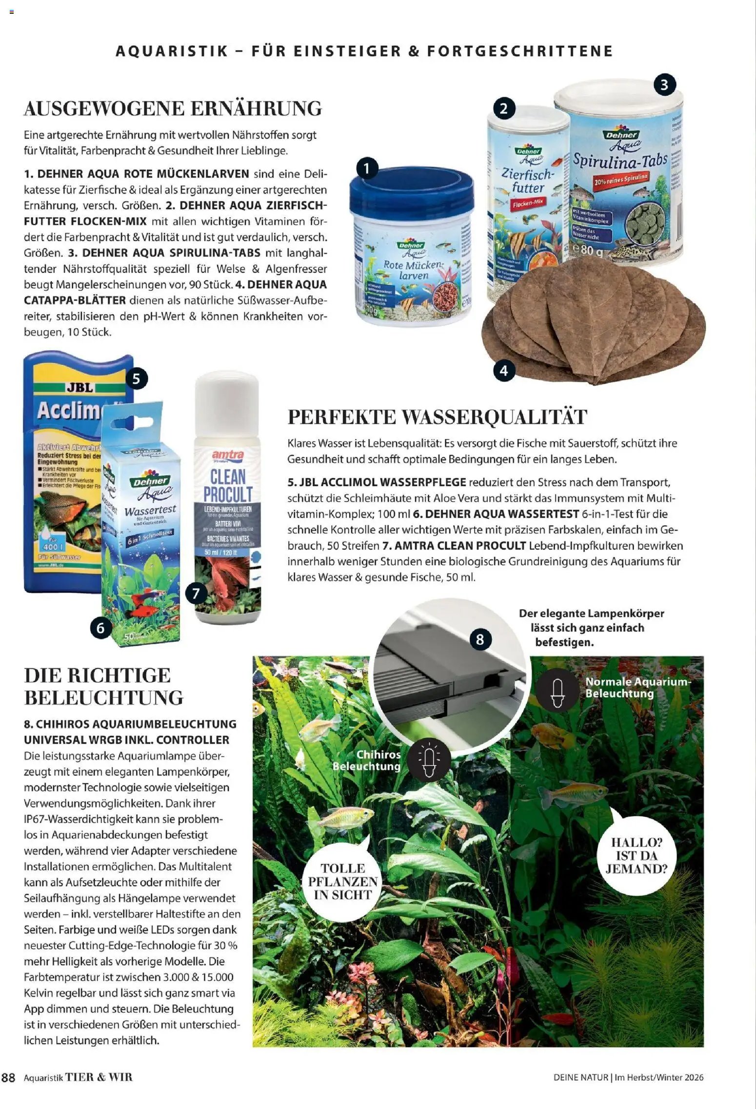 Dehner Magazine HERBST/WINTER 2026
