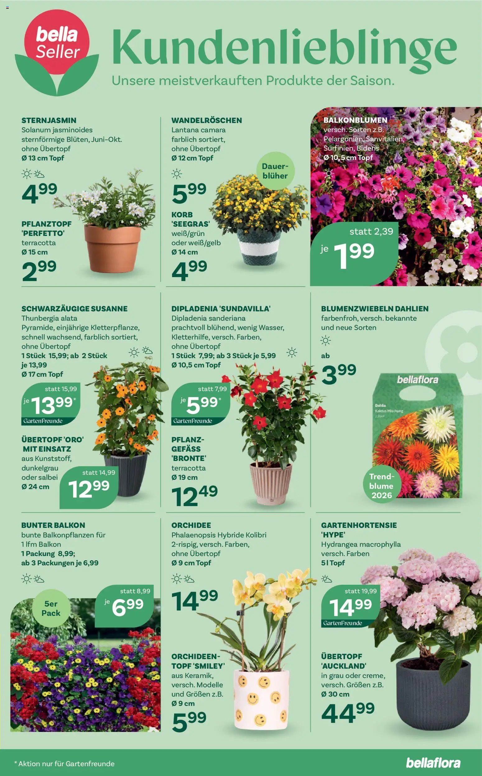 bellaflora Flugblatt