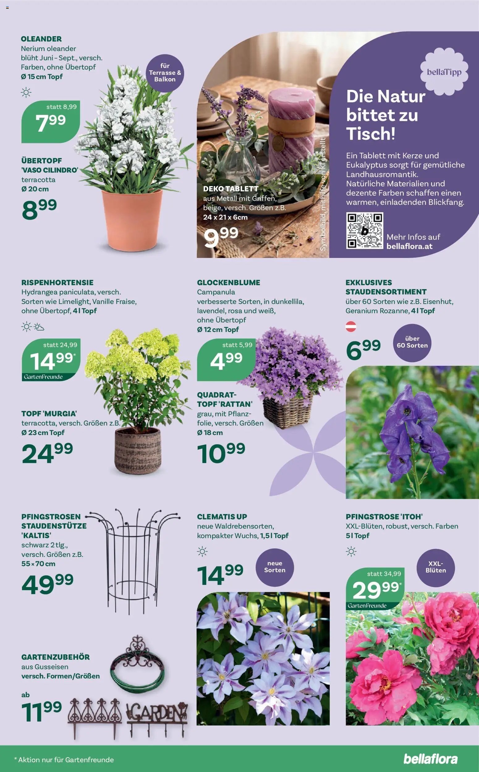 bellaflora Flugblatt