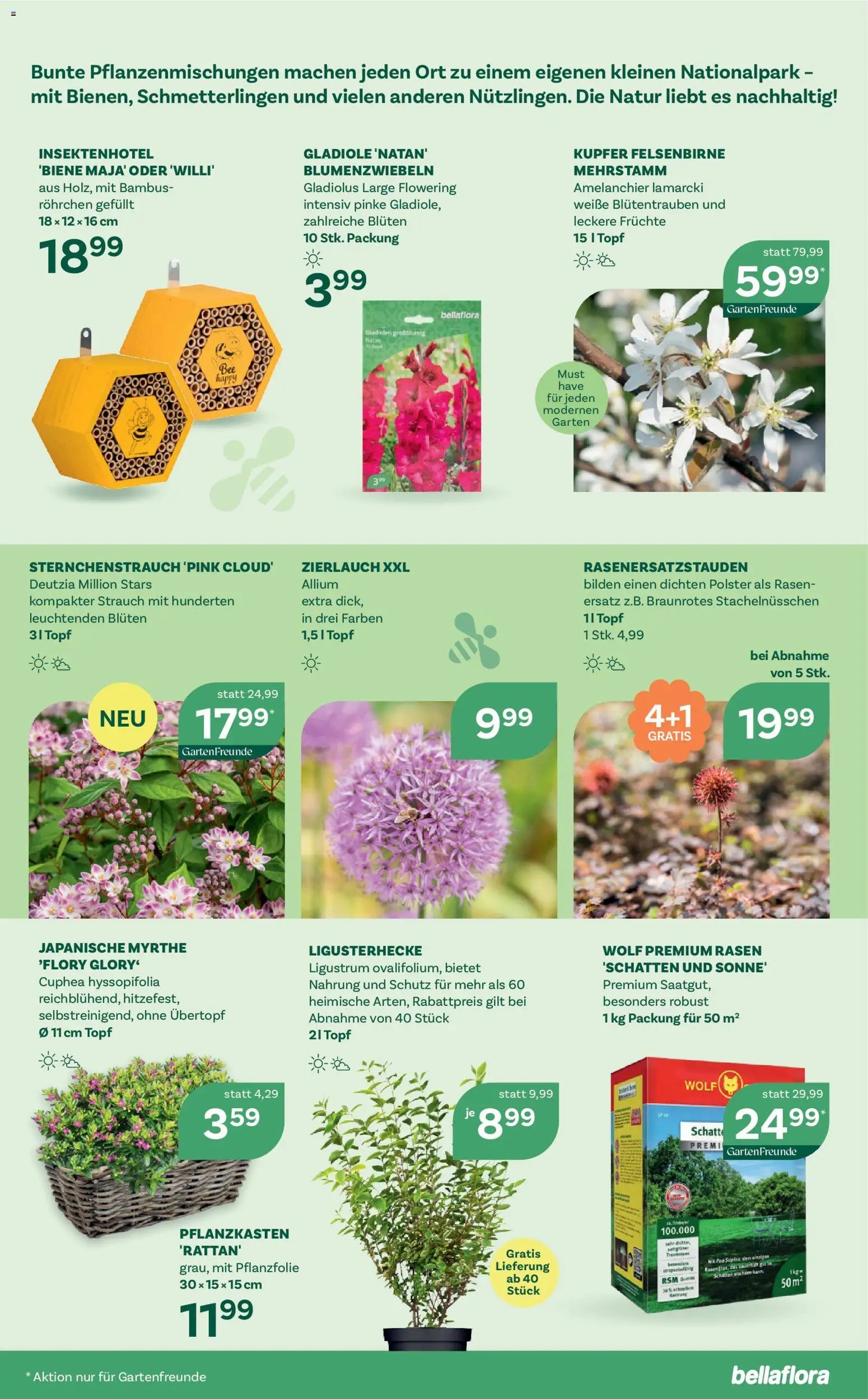 bellaflora Flugblatt