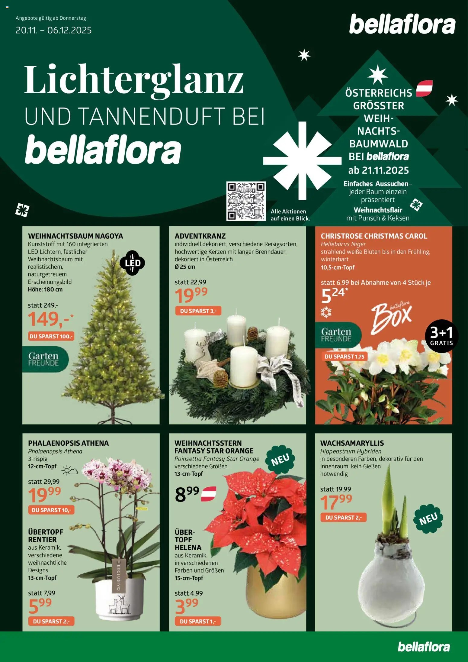 bellaflora Flugblatt