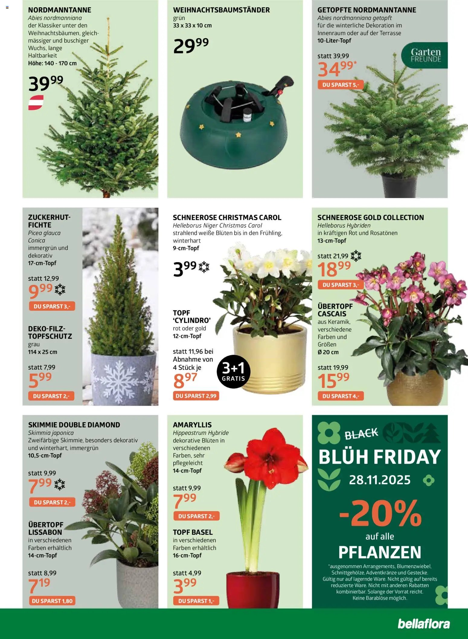 bellaflora Flugblatt