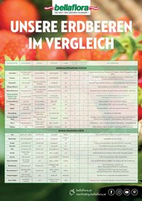 bellaflora - Sorten Erdbeeren
