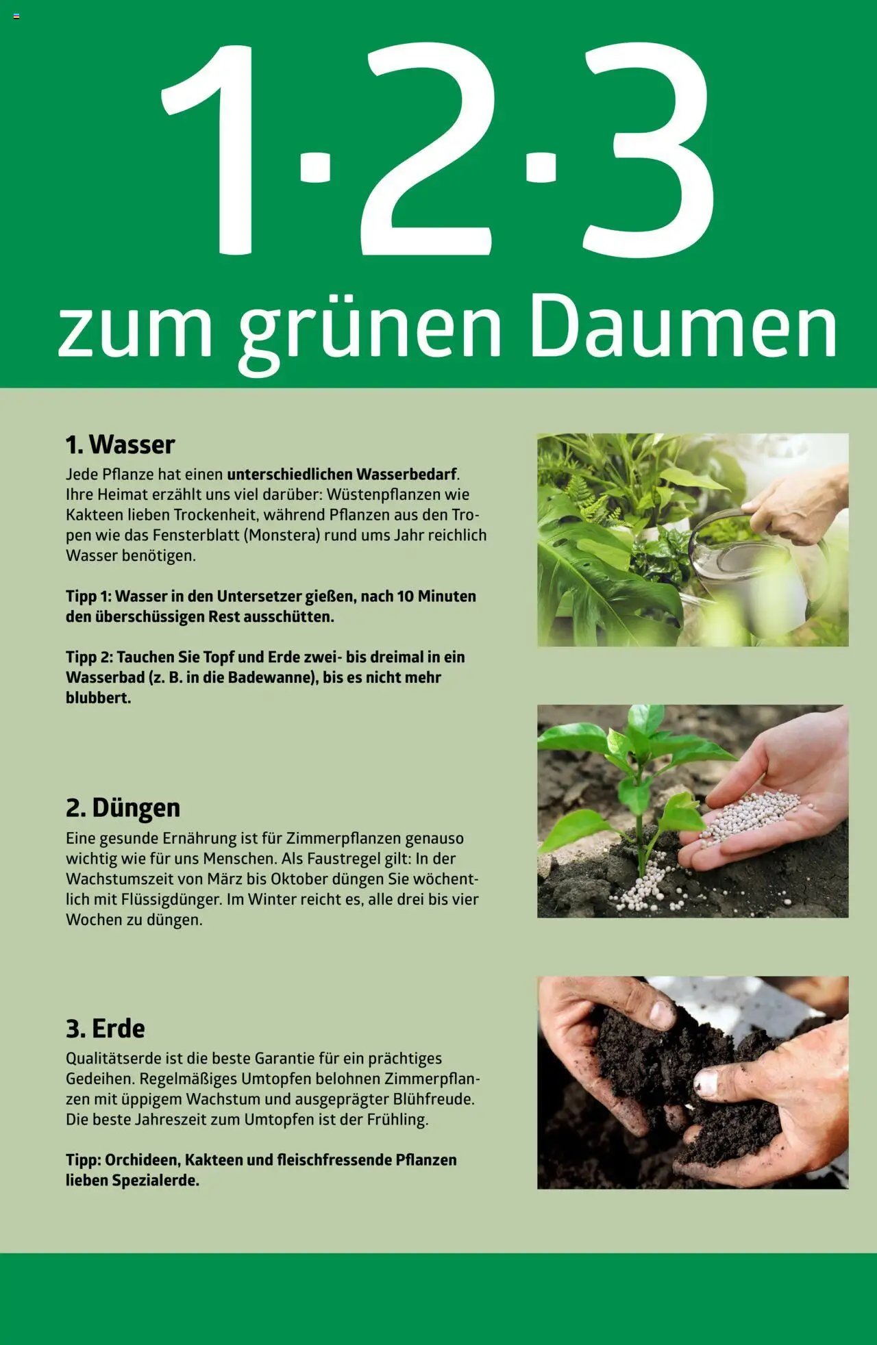 bellaflora - 1-2-3 zum grünen Daumen