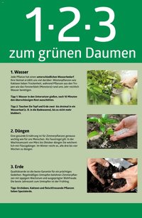 bellaflora - 1-2-3 zum grünen Daumen