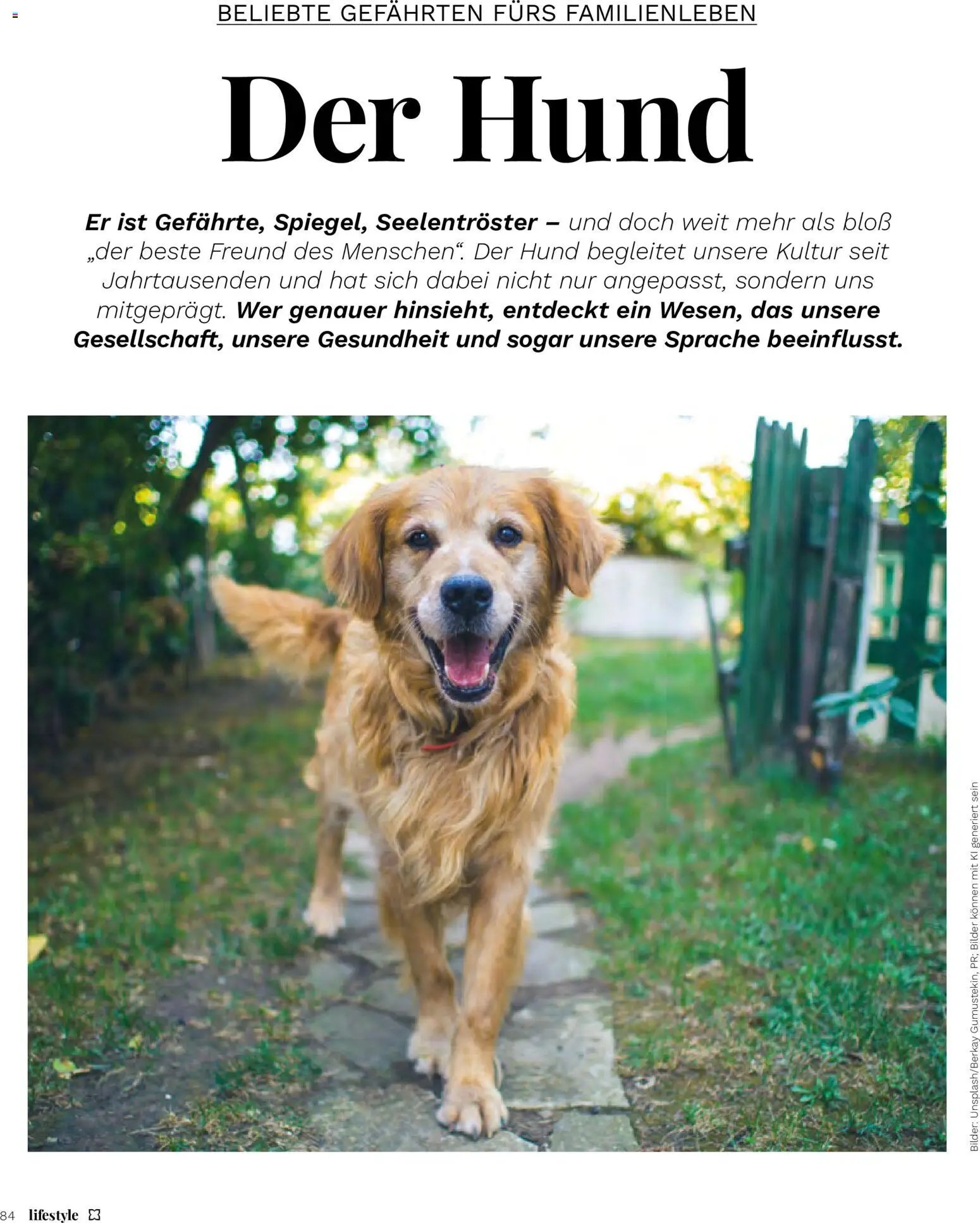 Müller Magazine Lifestyle 4/26