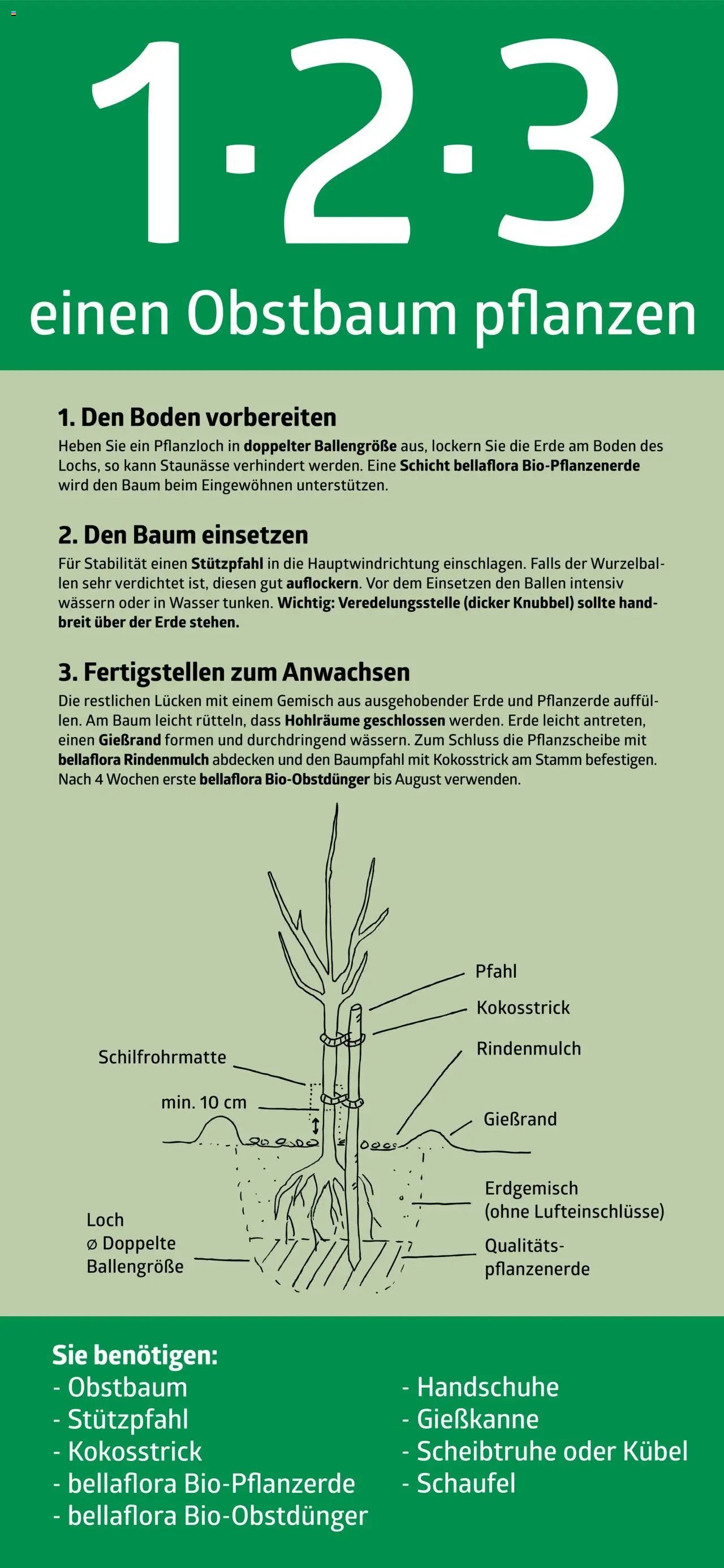 bellaflora - 1-2-3 einen Obstbaum pflanzen