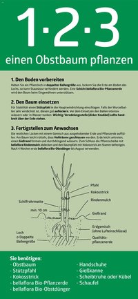 bellaflora - 1-2-3 einen Obstbaum pflanzen