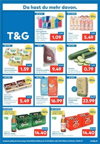 T&G Flugblatt