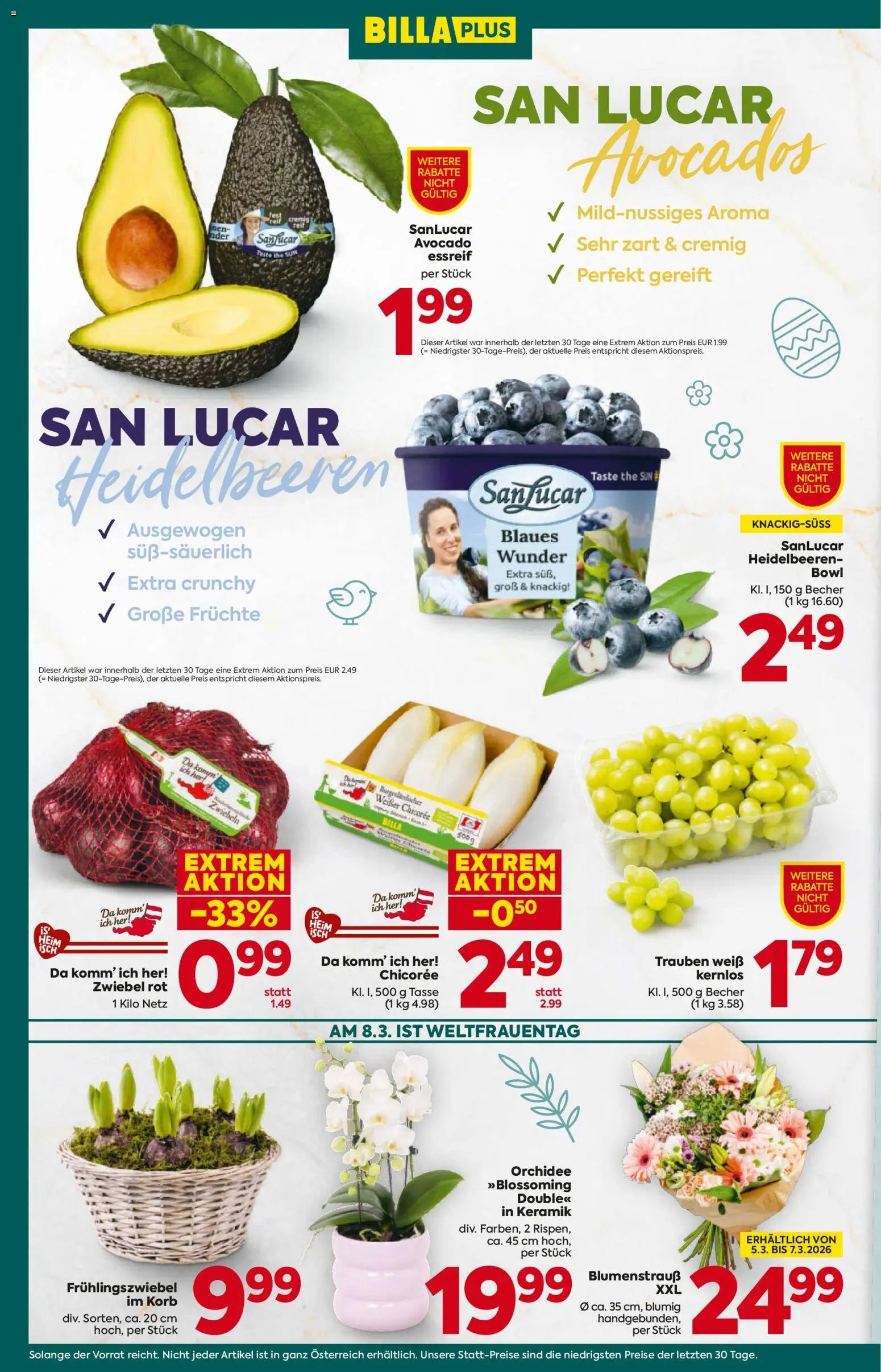 Billa Plus Flugblatt