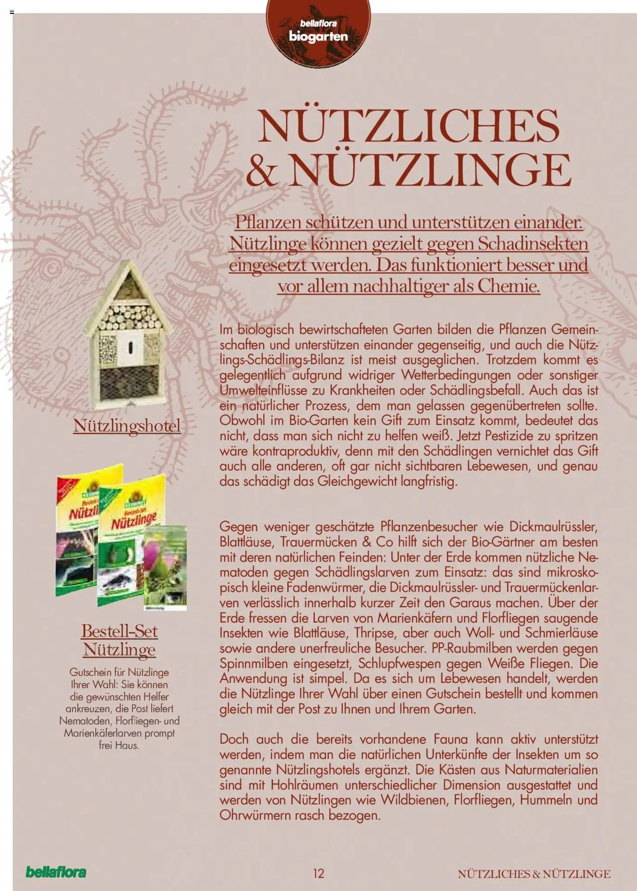 bellaflora Flugblatt