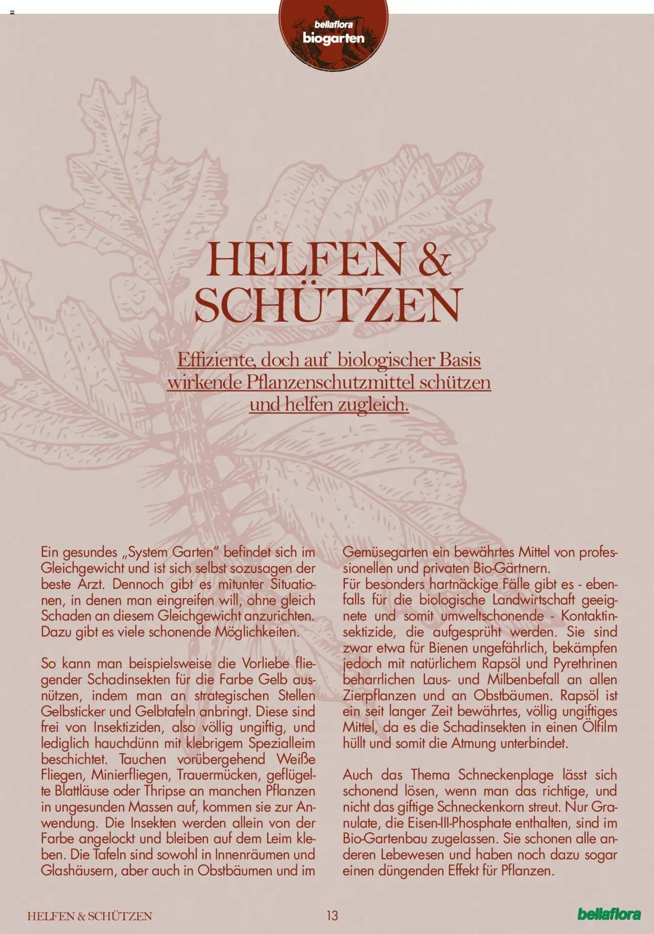 bellaflora Flugblatt