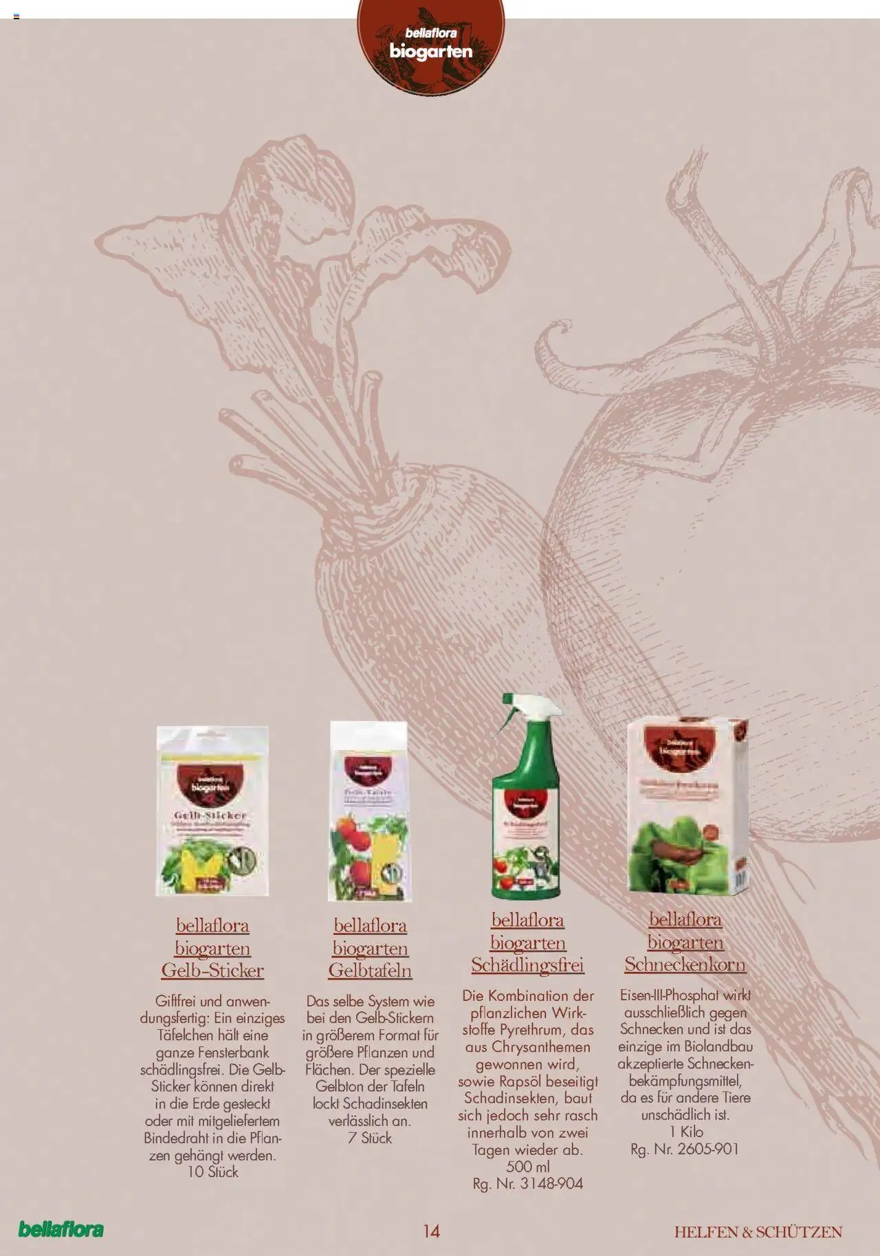 bellaflora Flugblatt