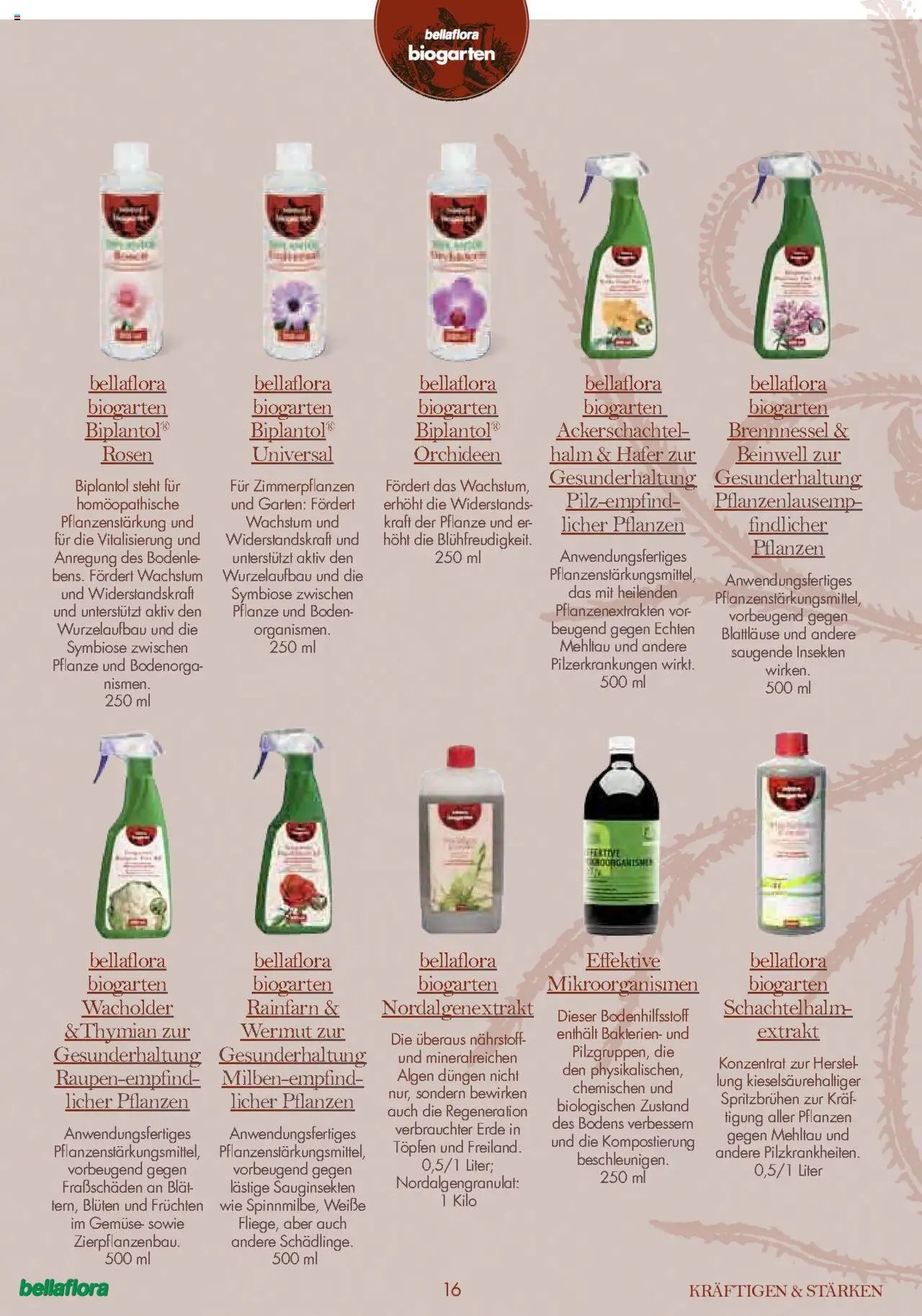 bellaflora Flugblatt