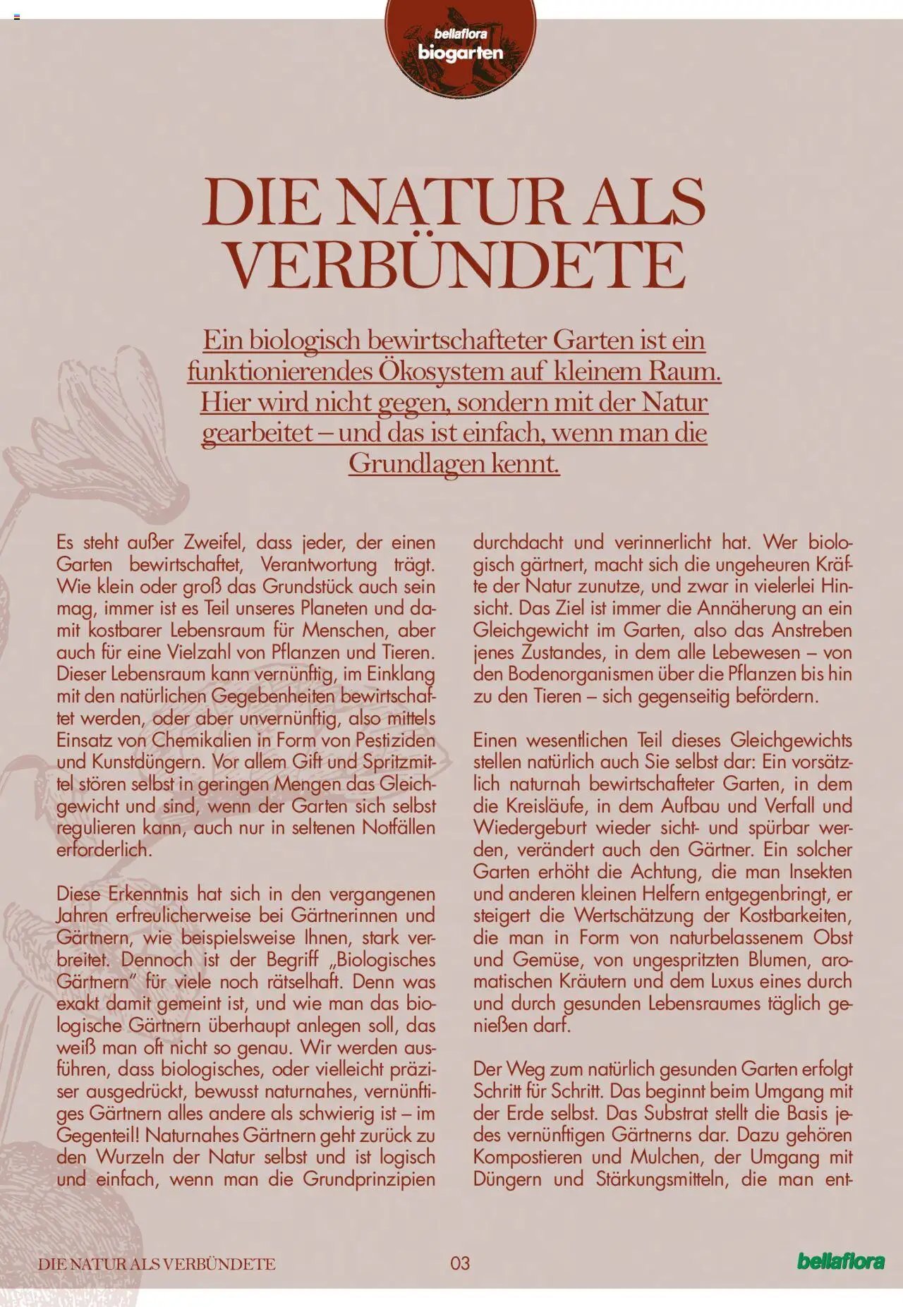 bellaflora Flugblatt