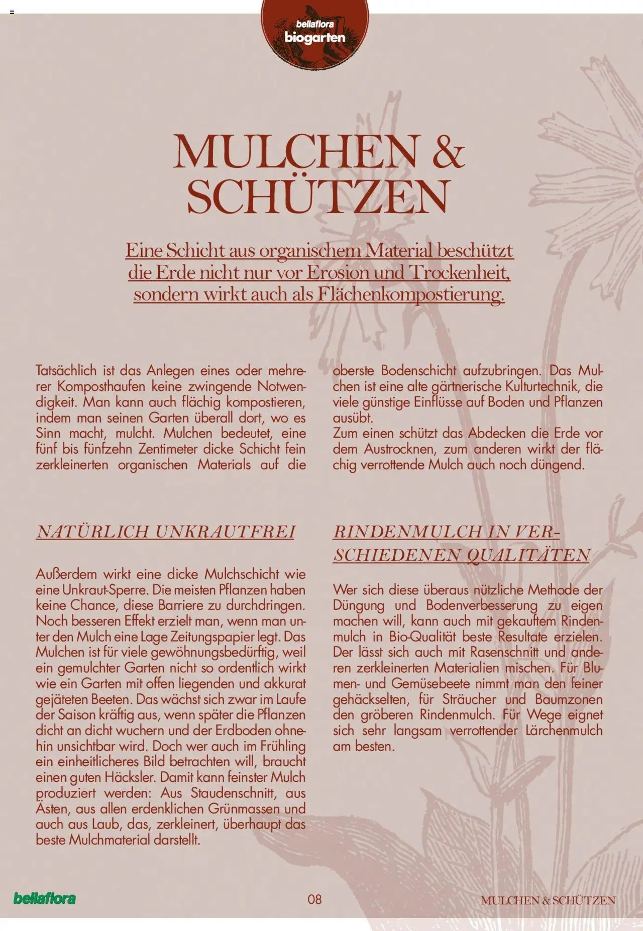 bellaflora Flugblatt