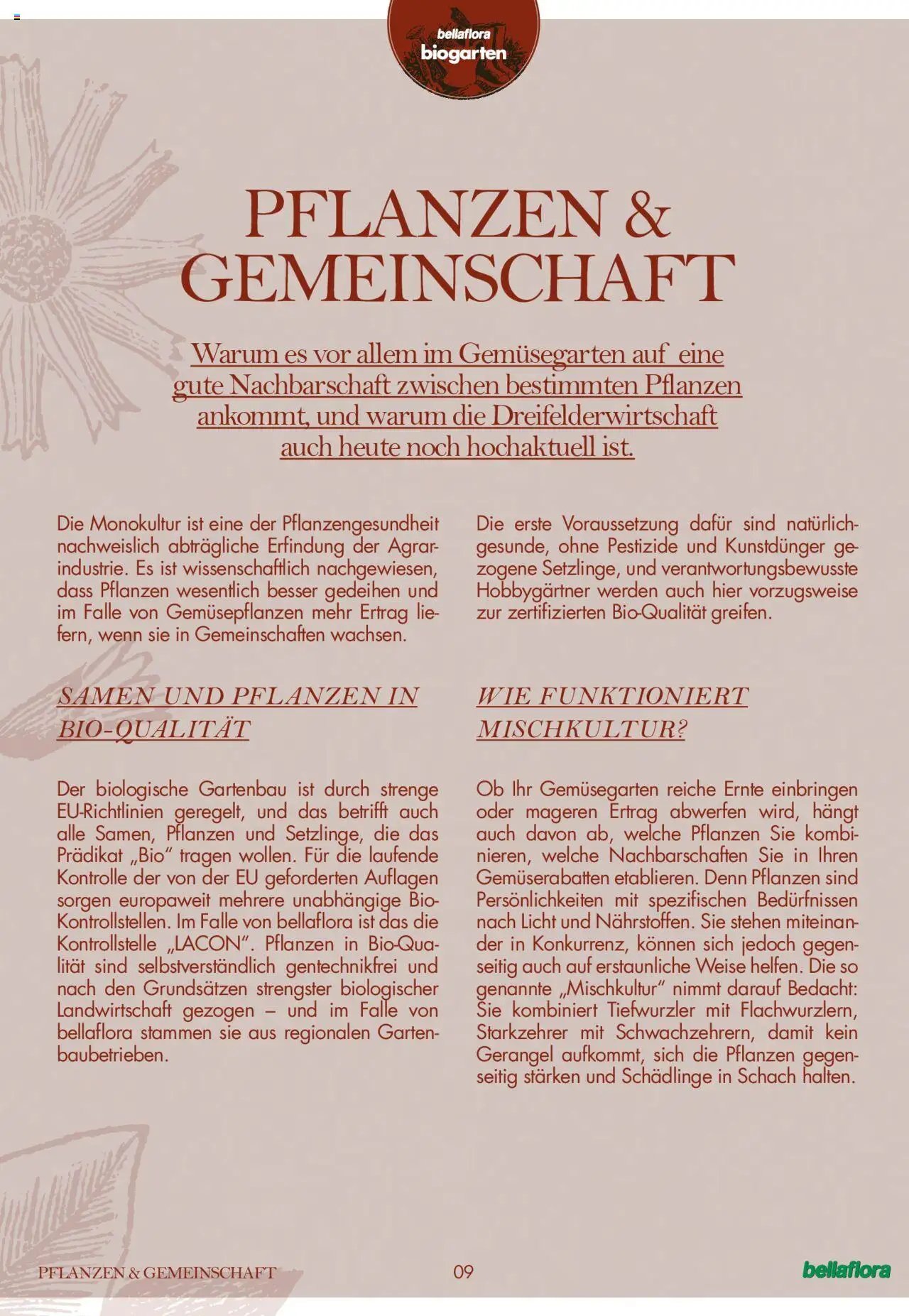bellaflora Flugblatt